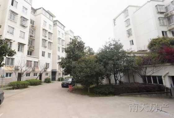 江南绿洲
