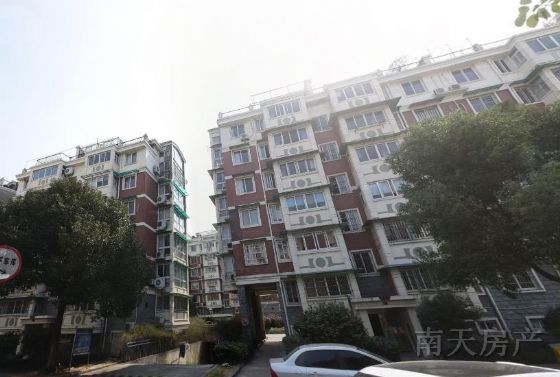 南都花城茶花园