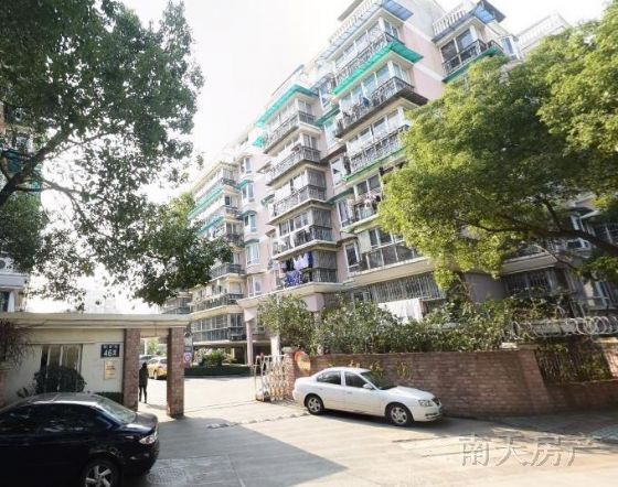 南都绿洲
