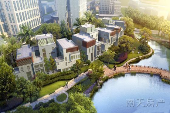 尼塔国际