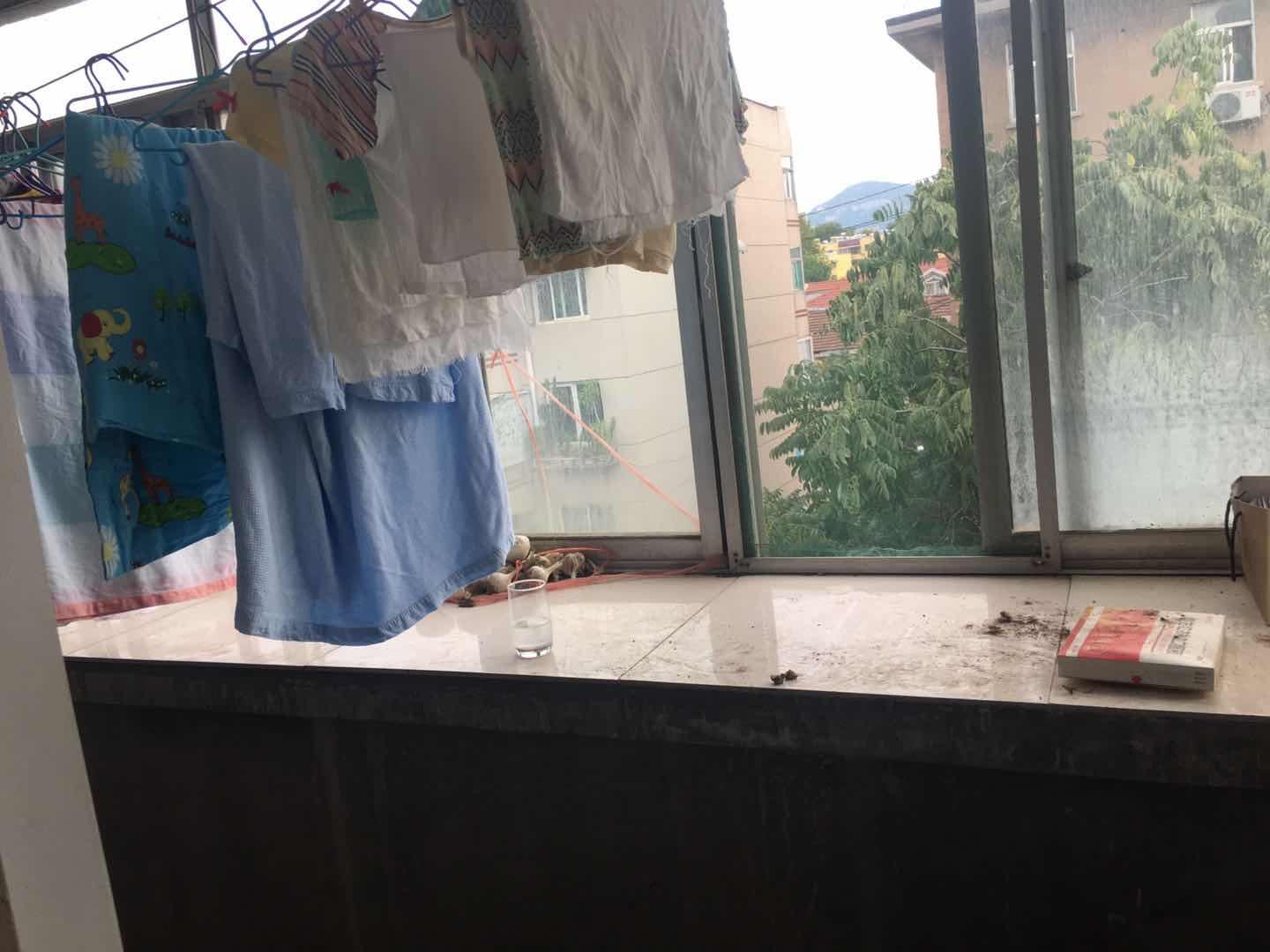 青后小区二区