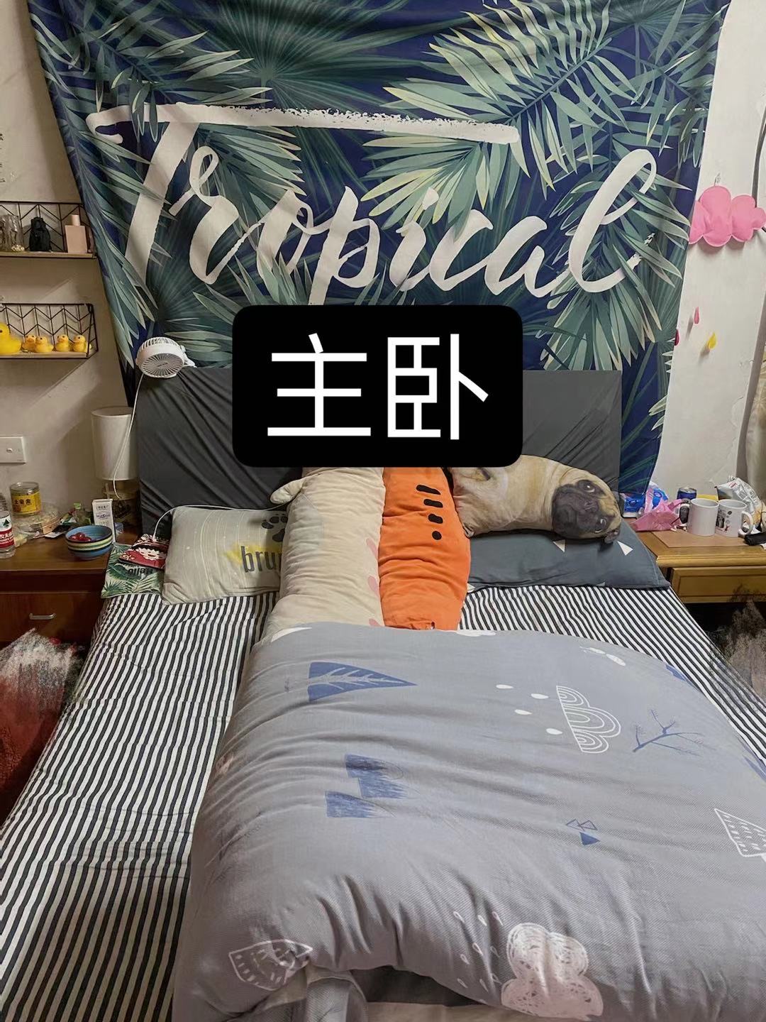 后河小区(鄮西巷)