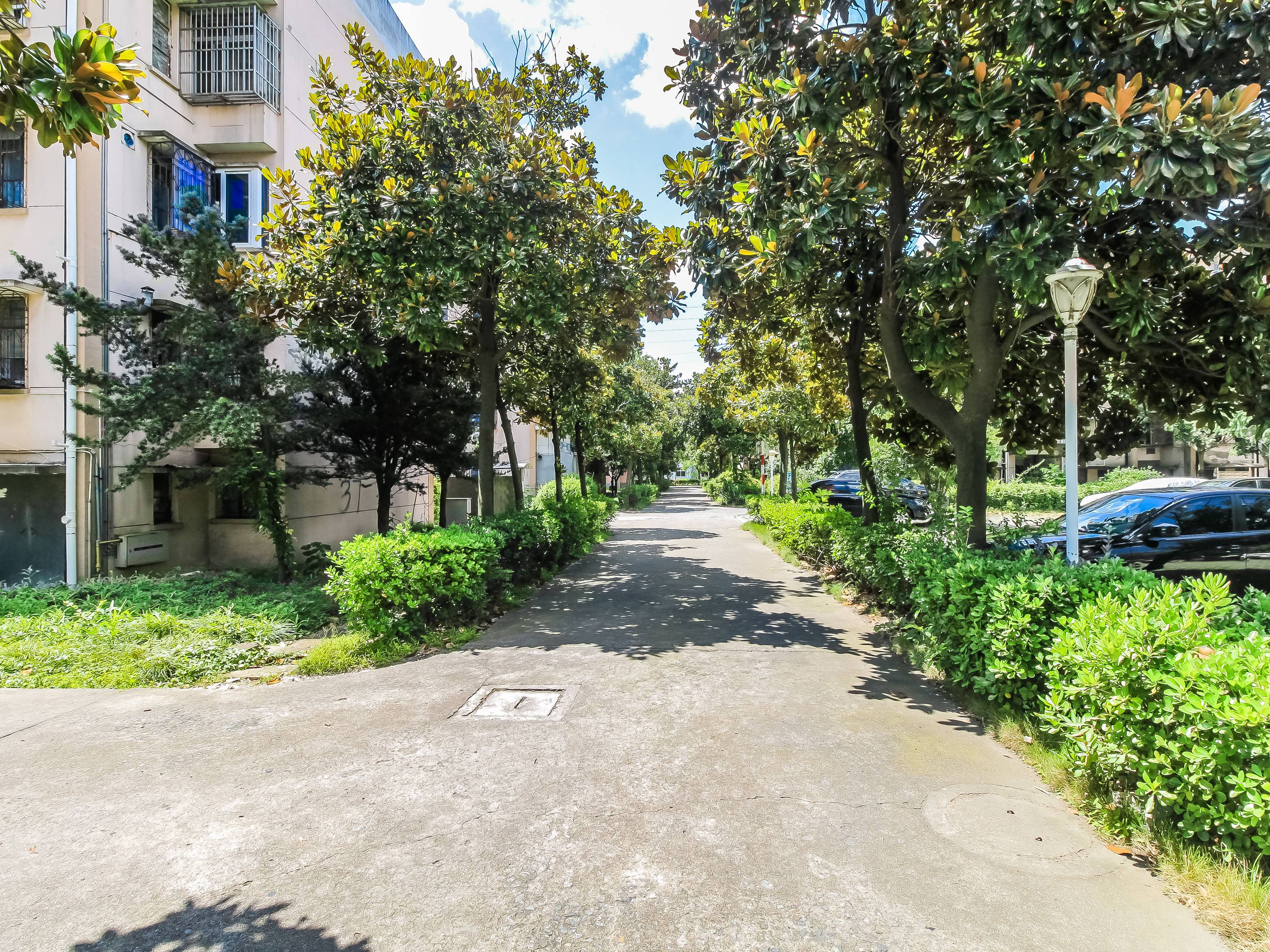 镇电新村