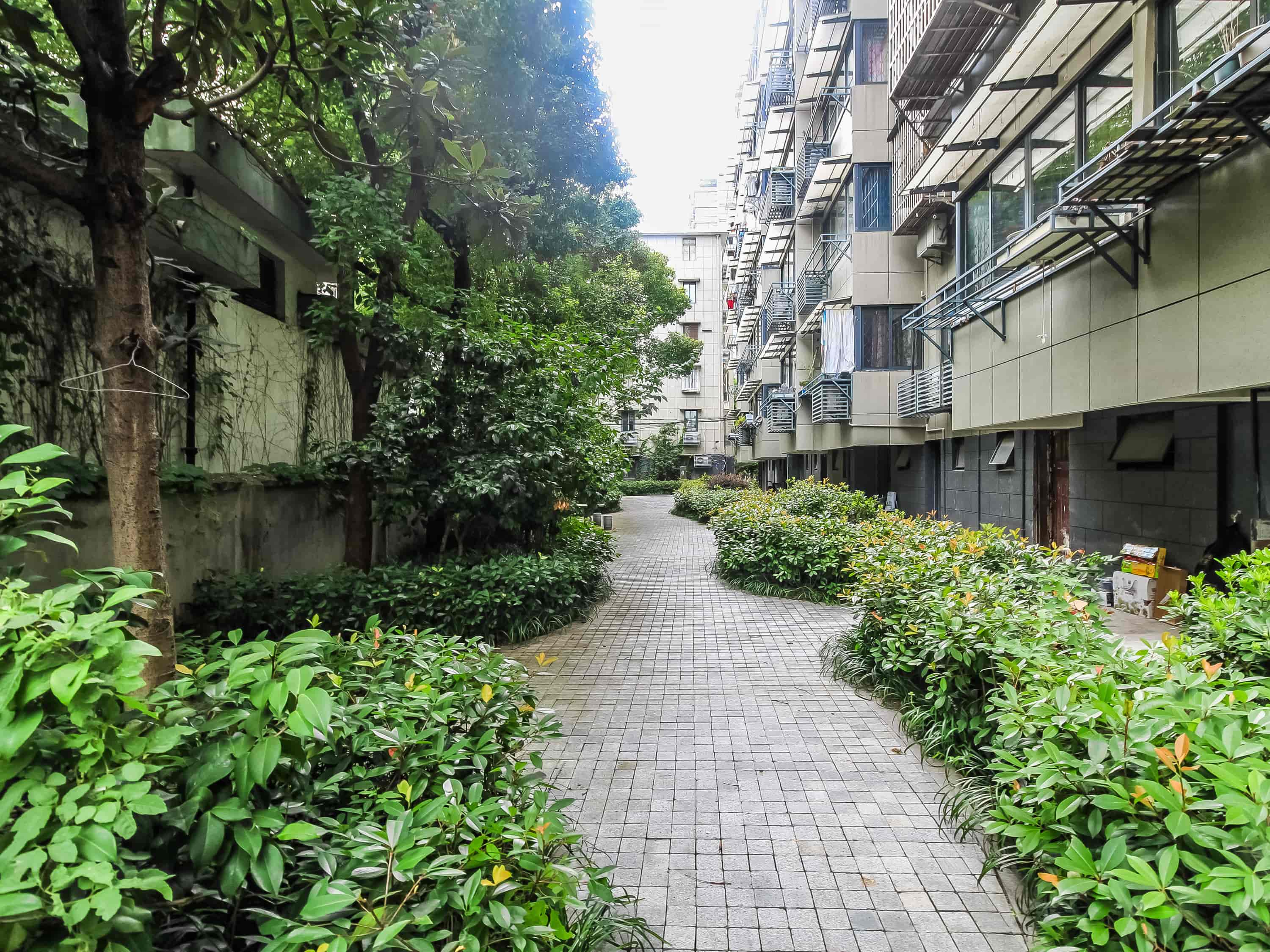 医药苑
