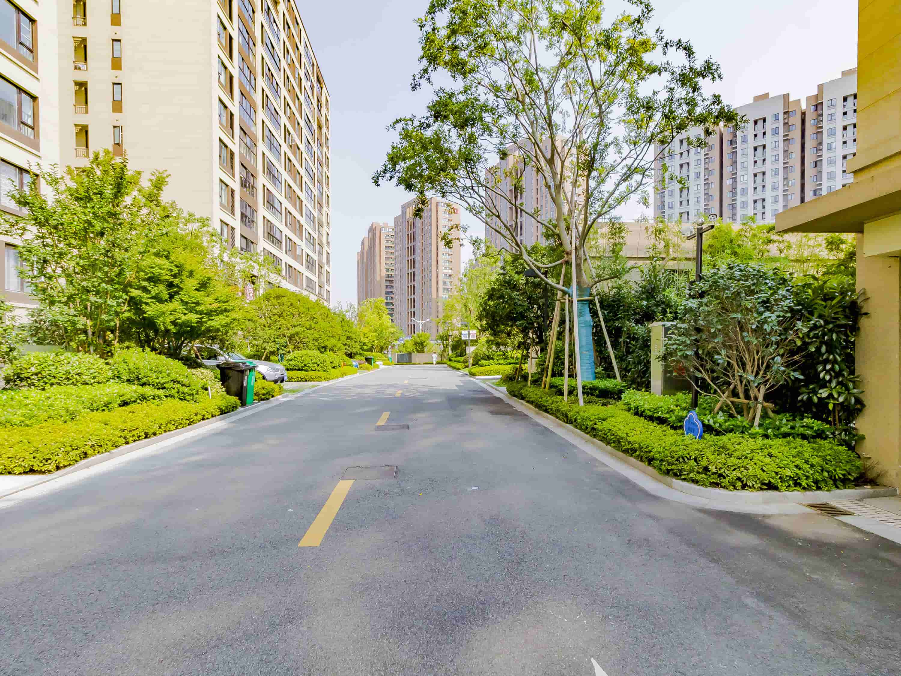 万科堂院