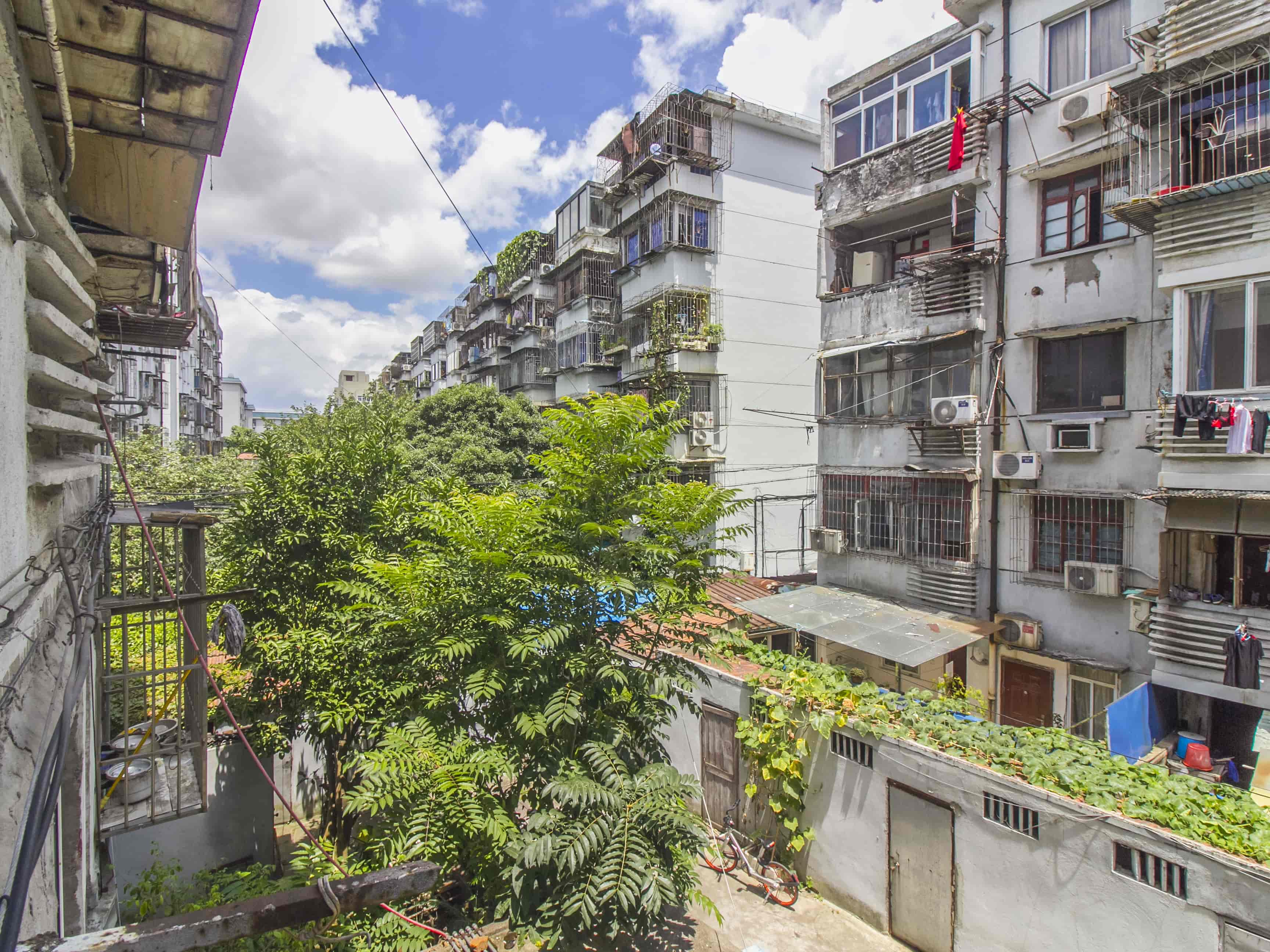 孝闻社区(173弄)