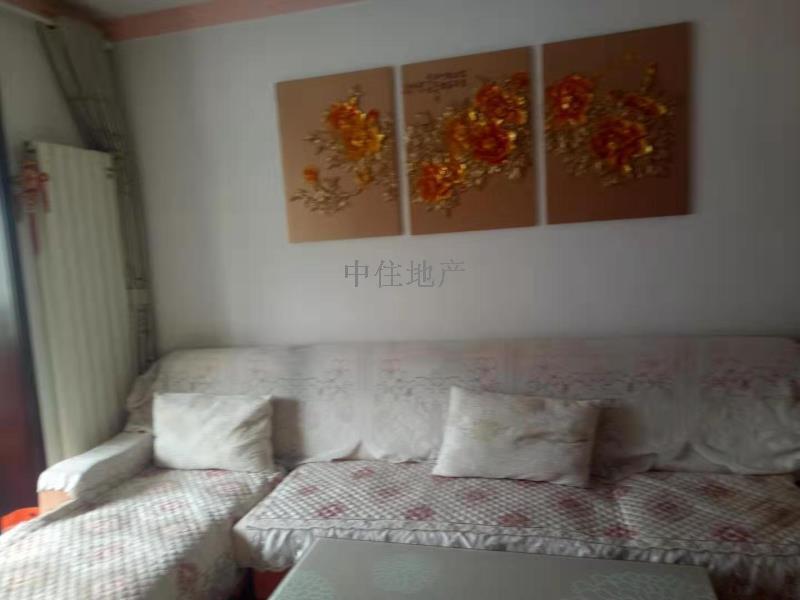 钢城新苑东区