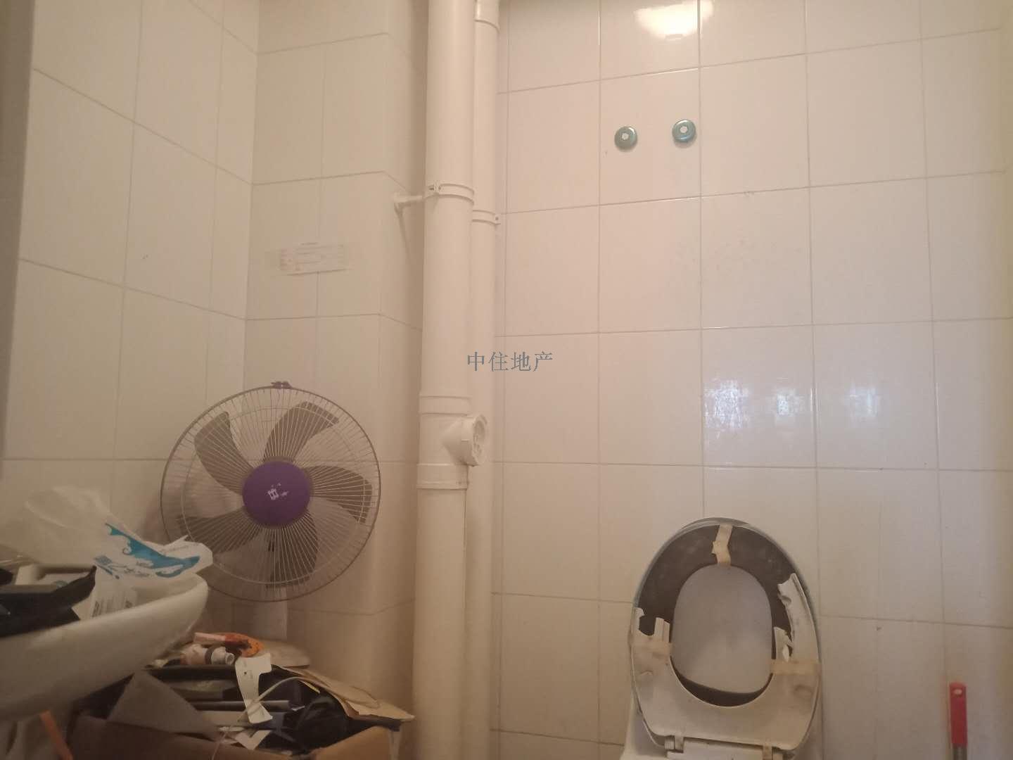 官扎营新区