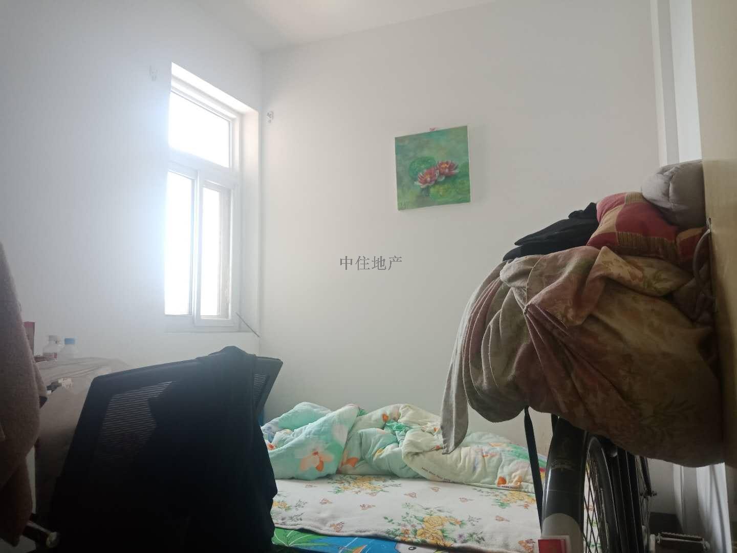 官扎营新区