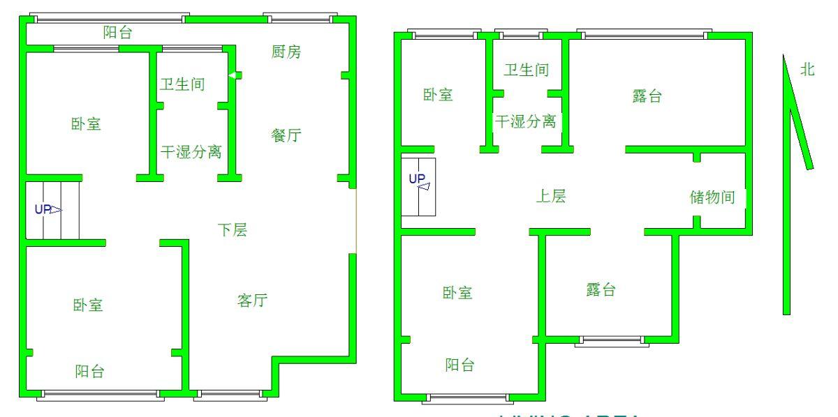 鲁商常春藤