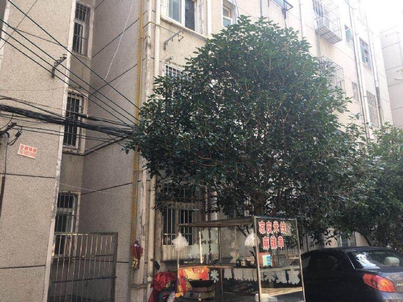【曙光影院二手房|合肥曙光影院二手房出售 合肥房天下