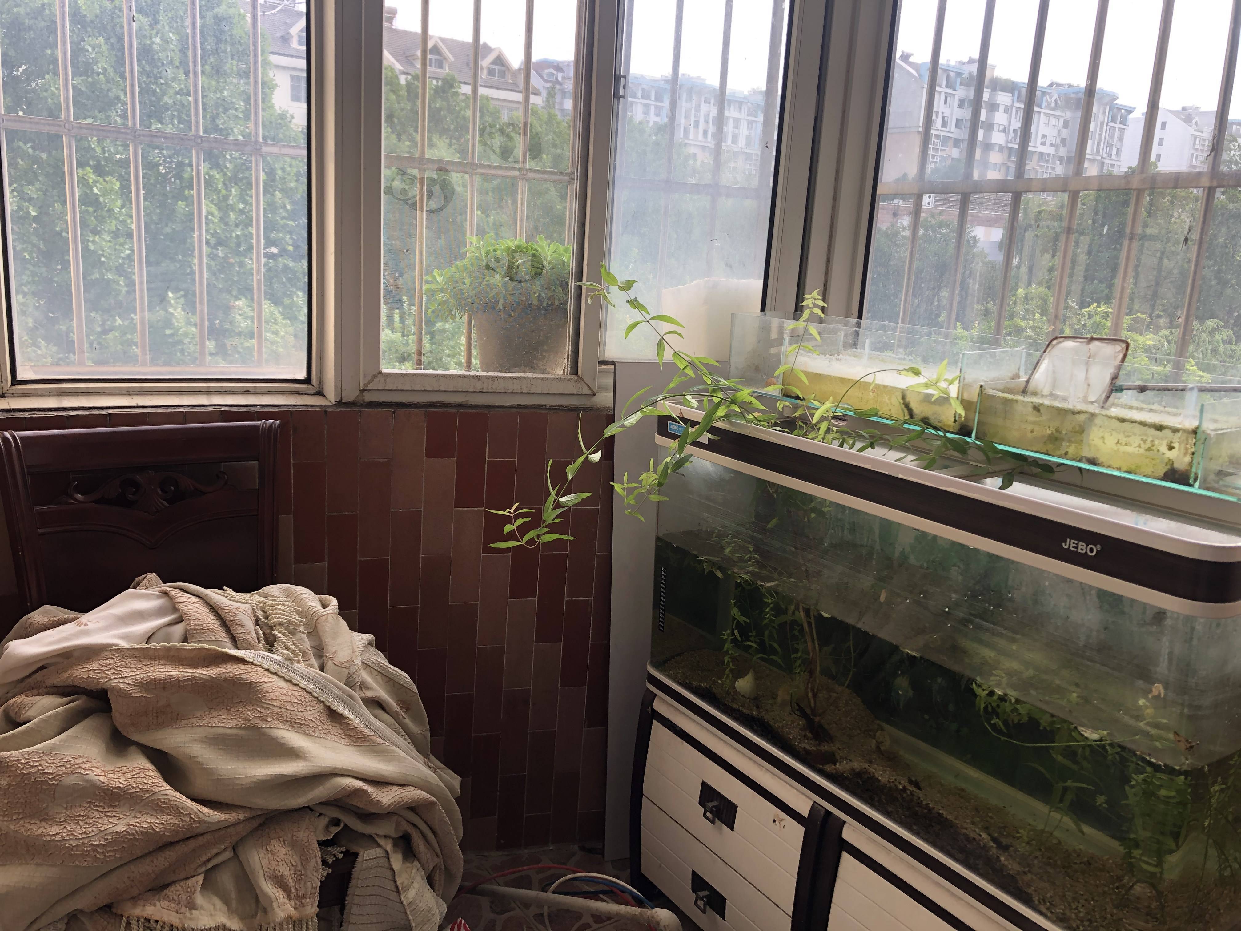 银座花园