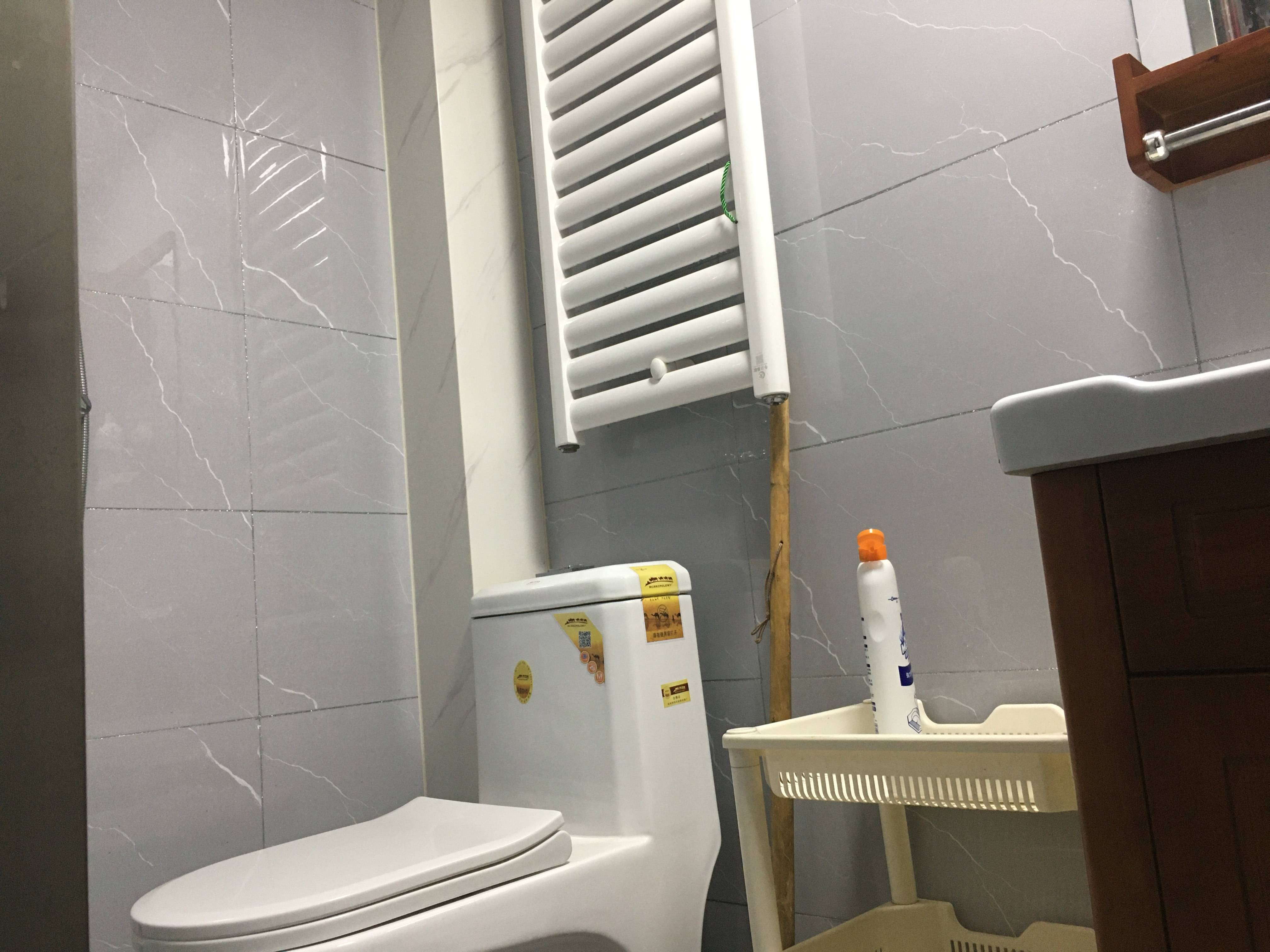 整租·菜市新村  南北