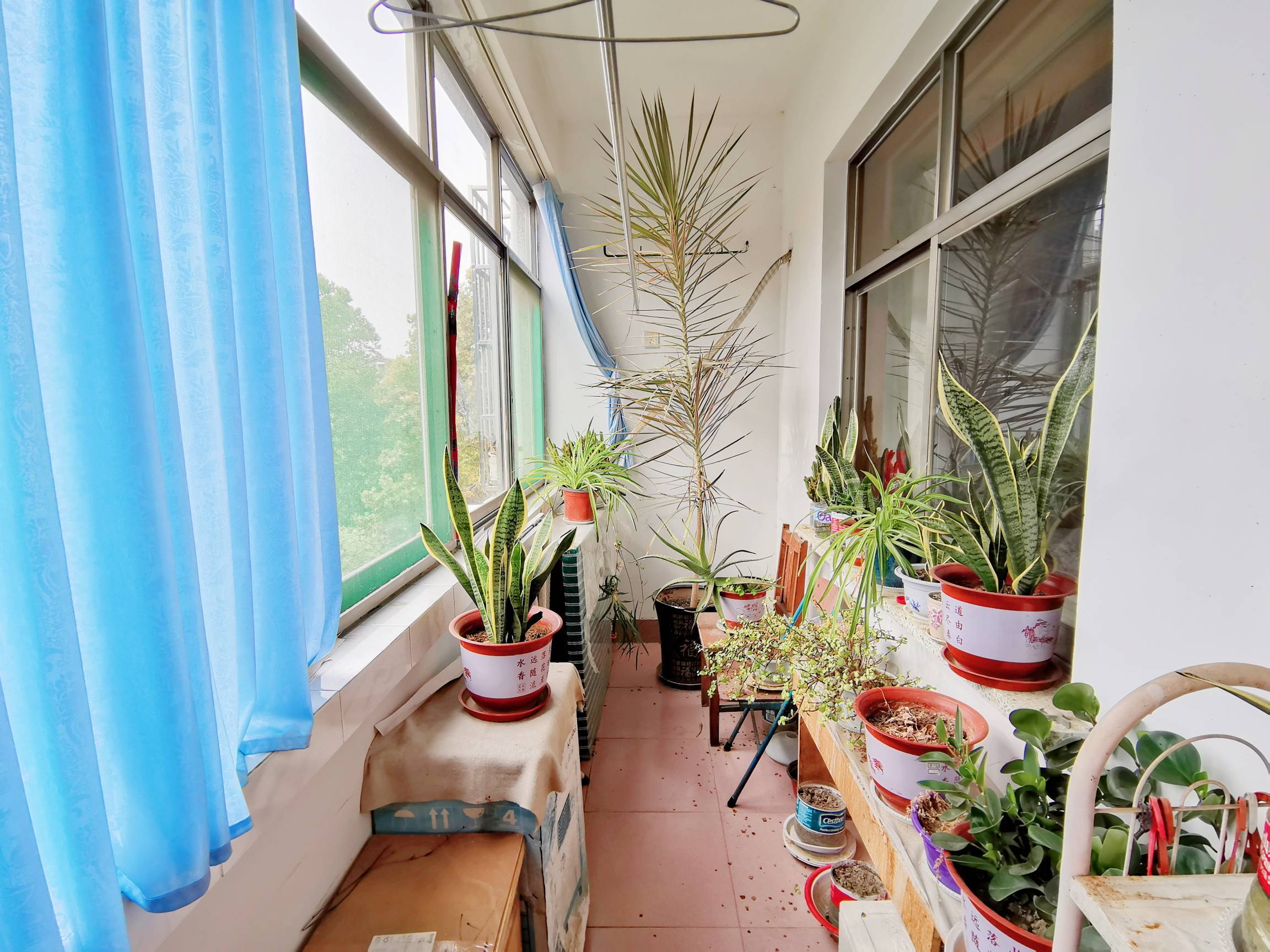 文化东路林业厅宿舍