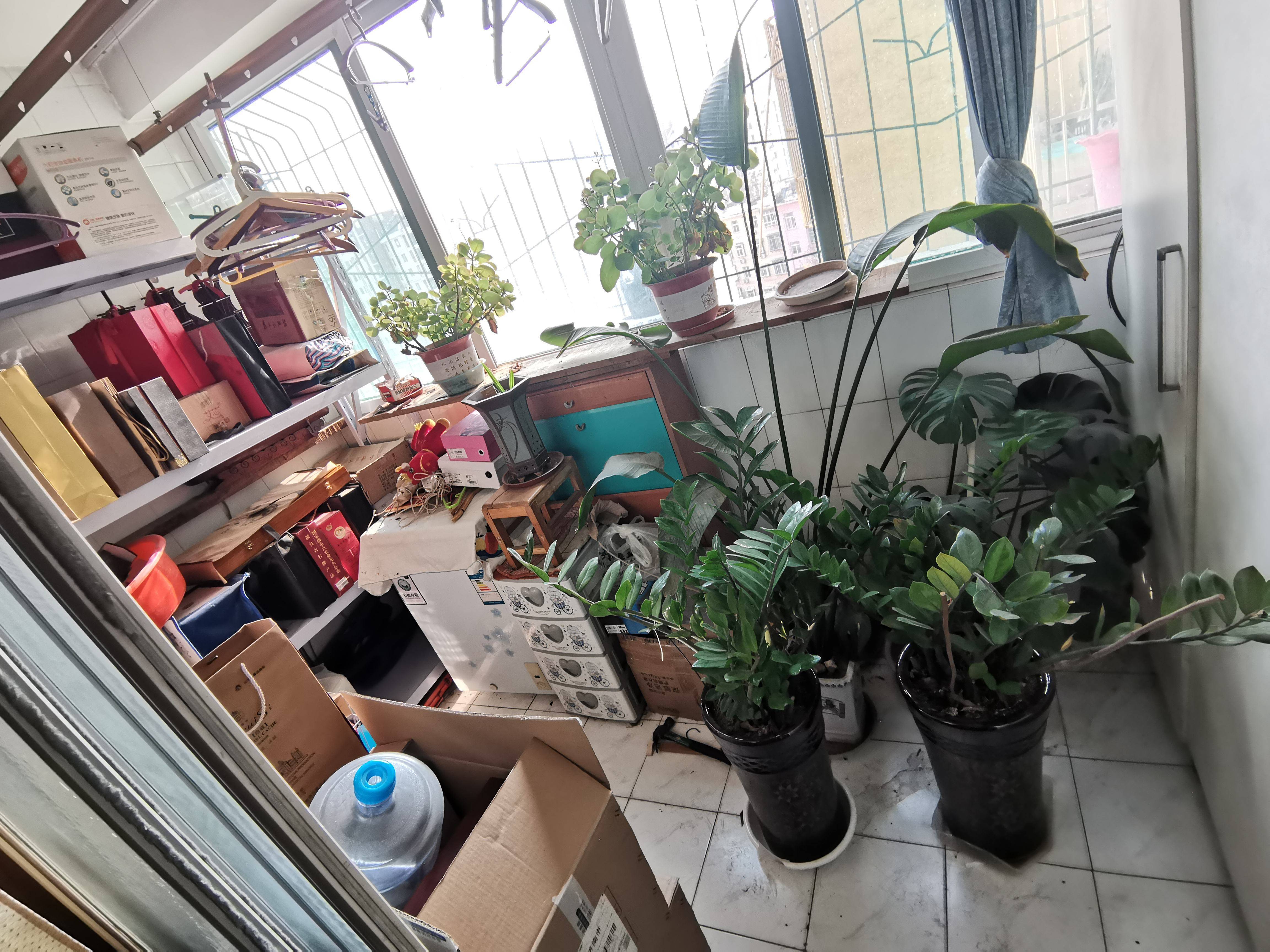 槐荫街单位宿舍