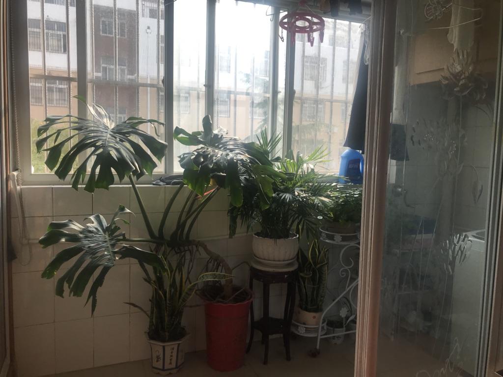 新世纪东山花园