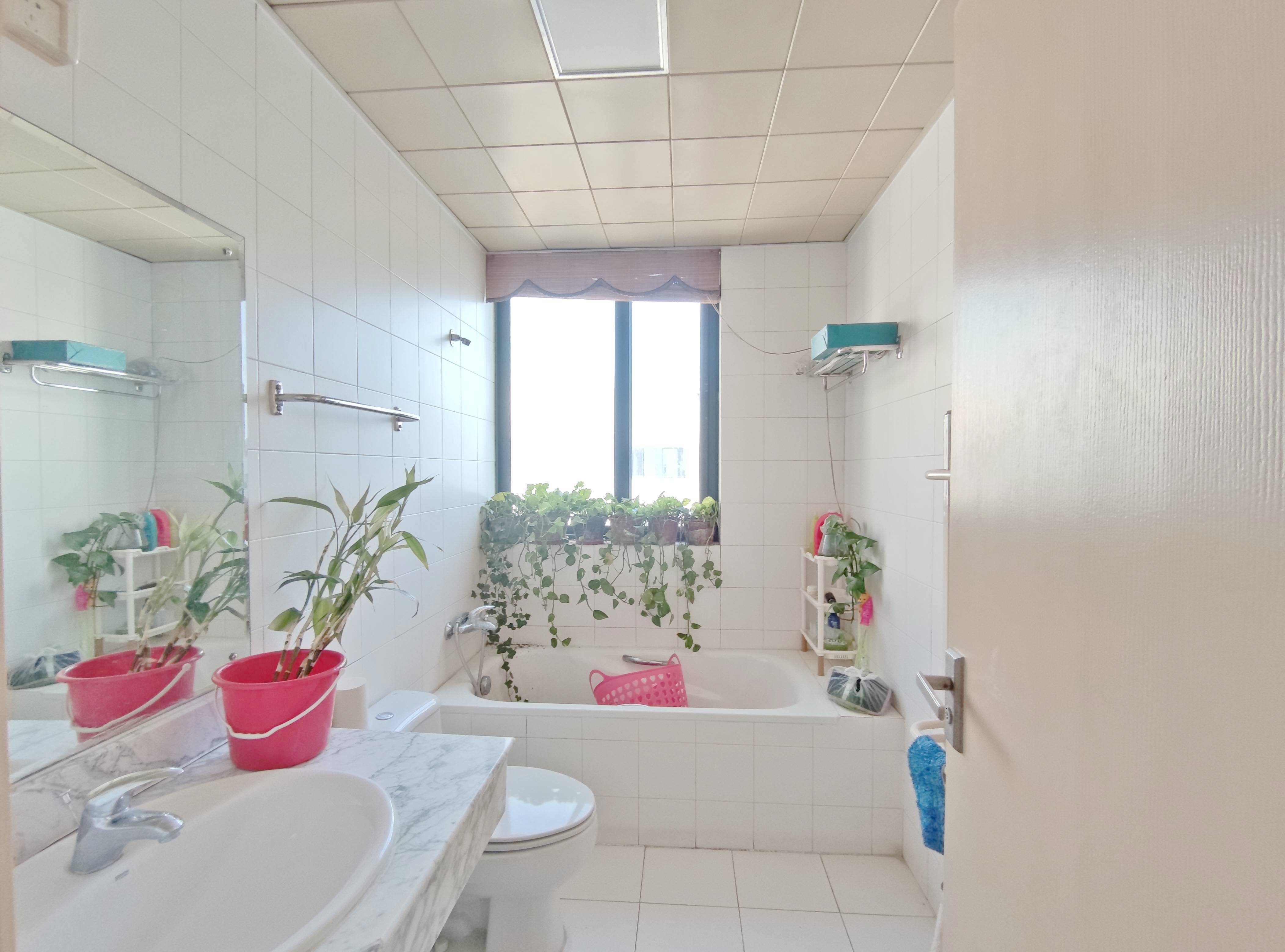 阳光100小区A区