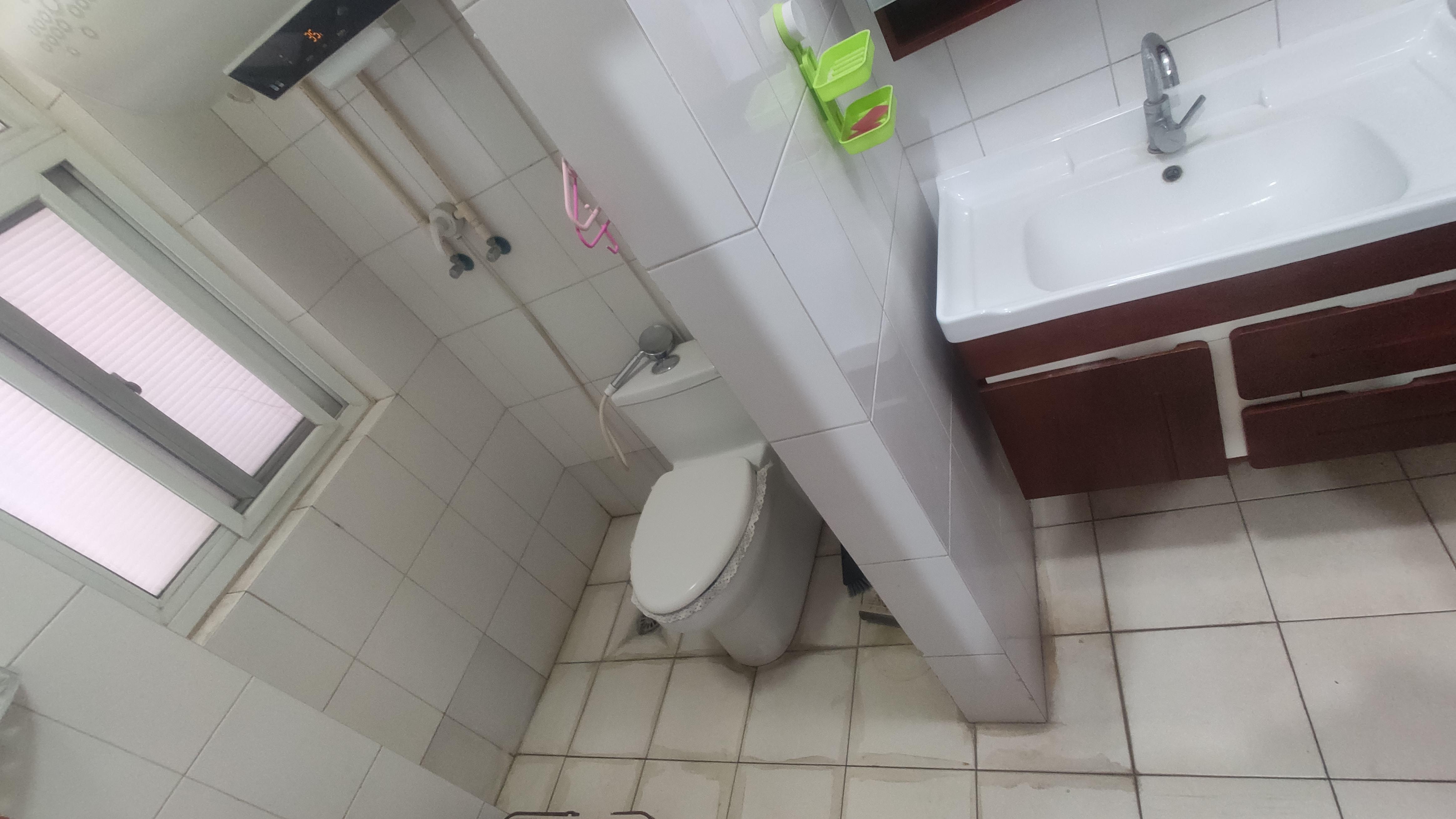 官扎营新区