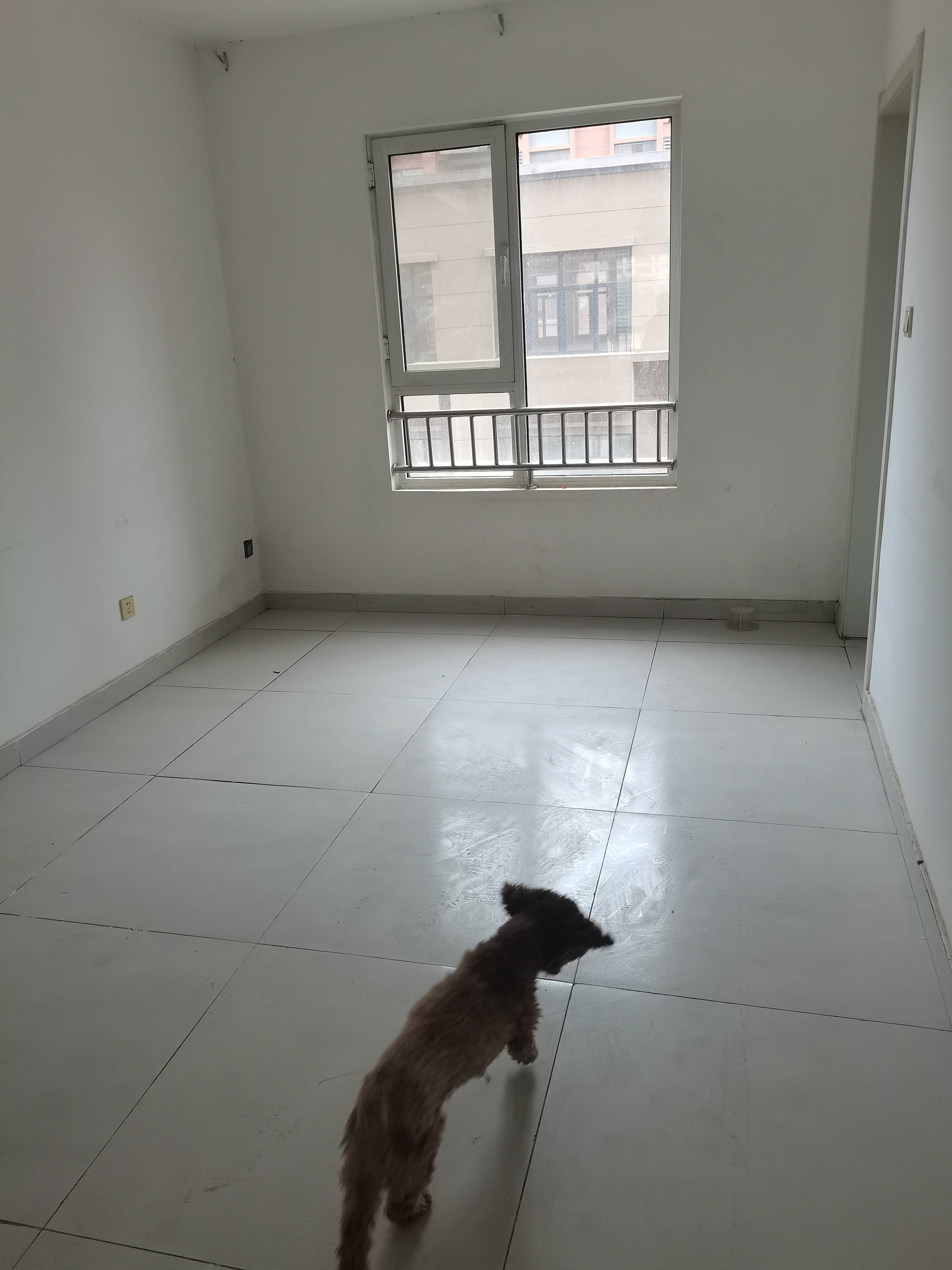 章丘唐人中心