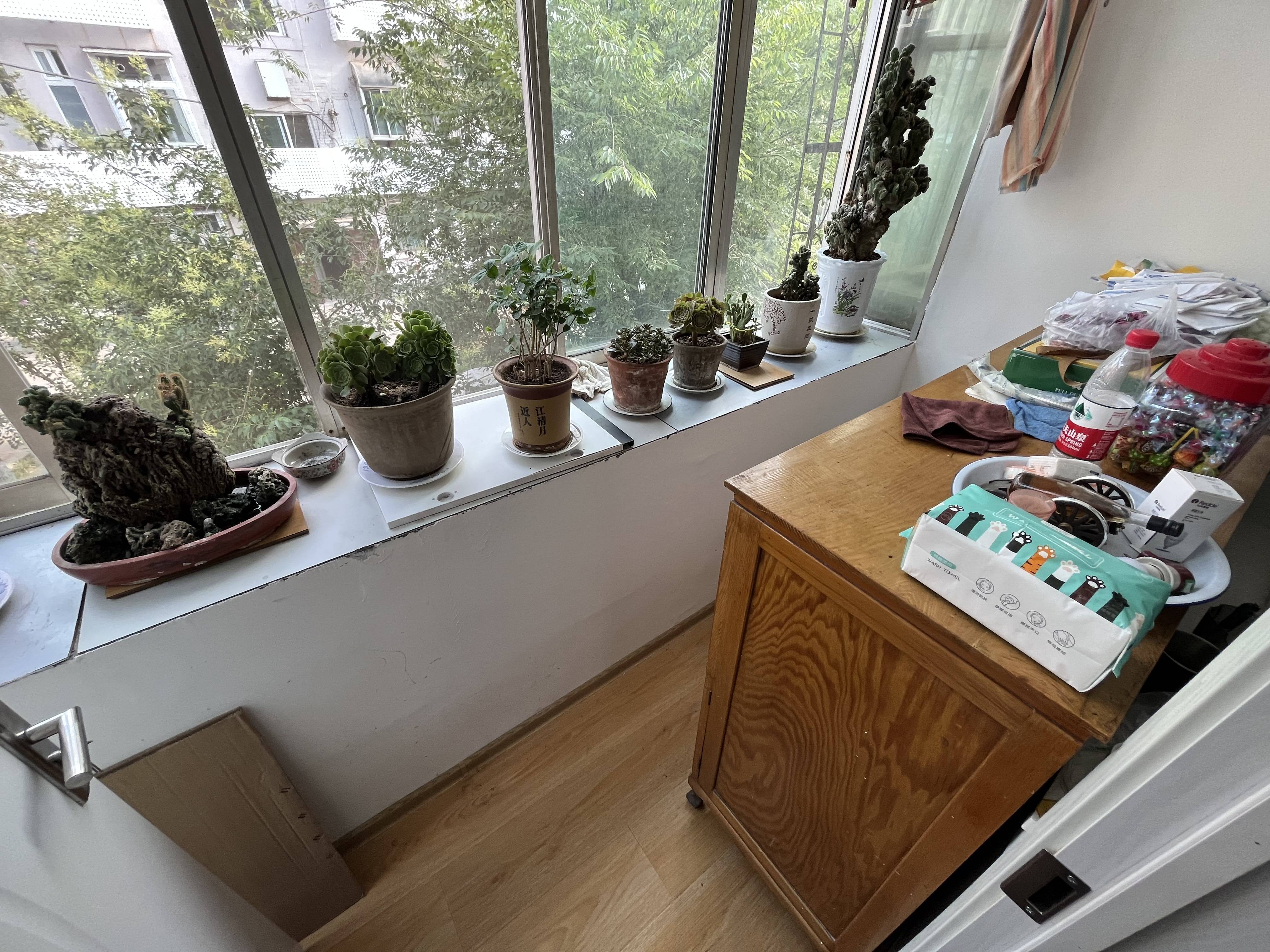 胜利大街单位宿舍