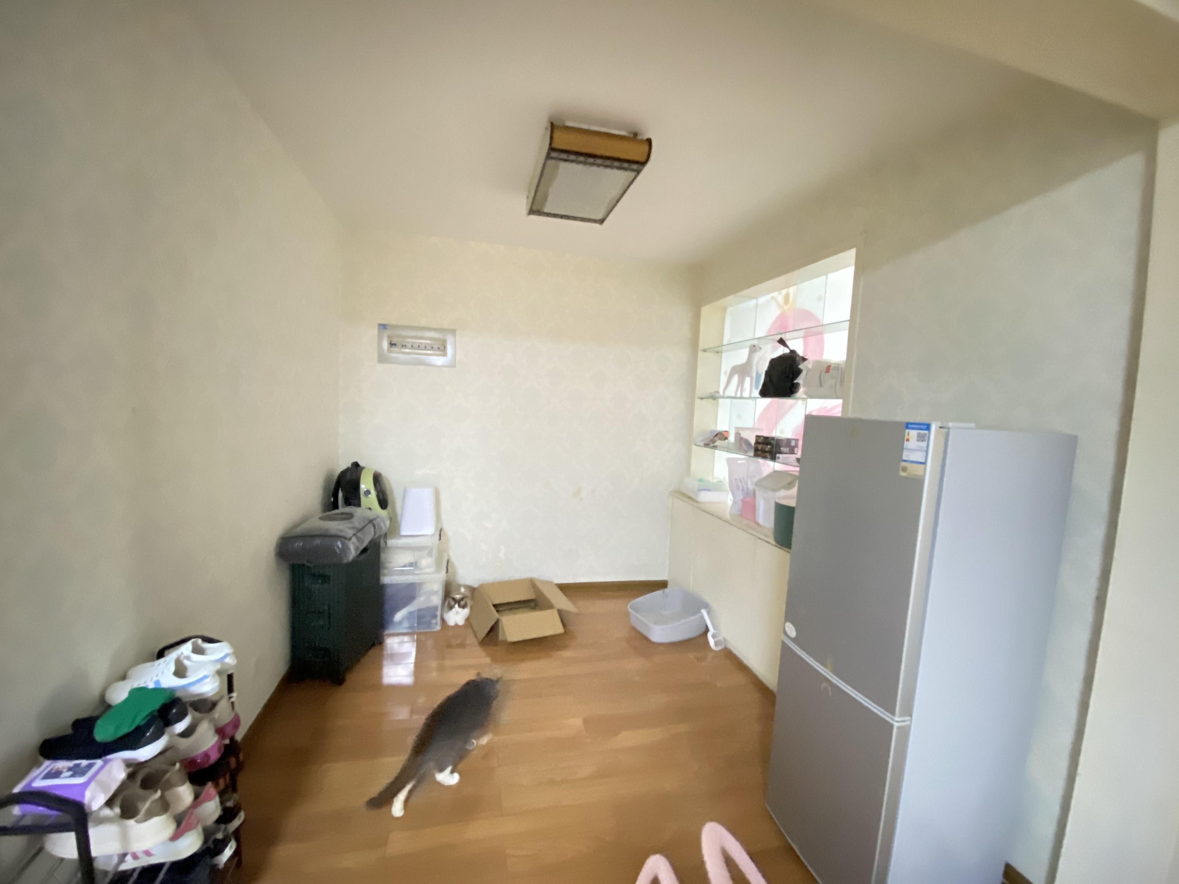 锦绣泉城