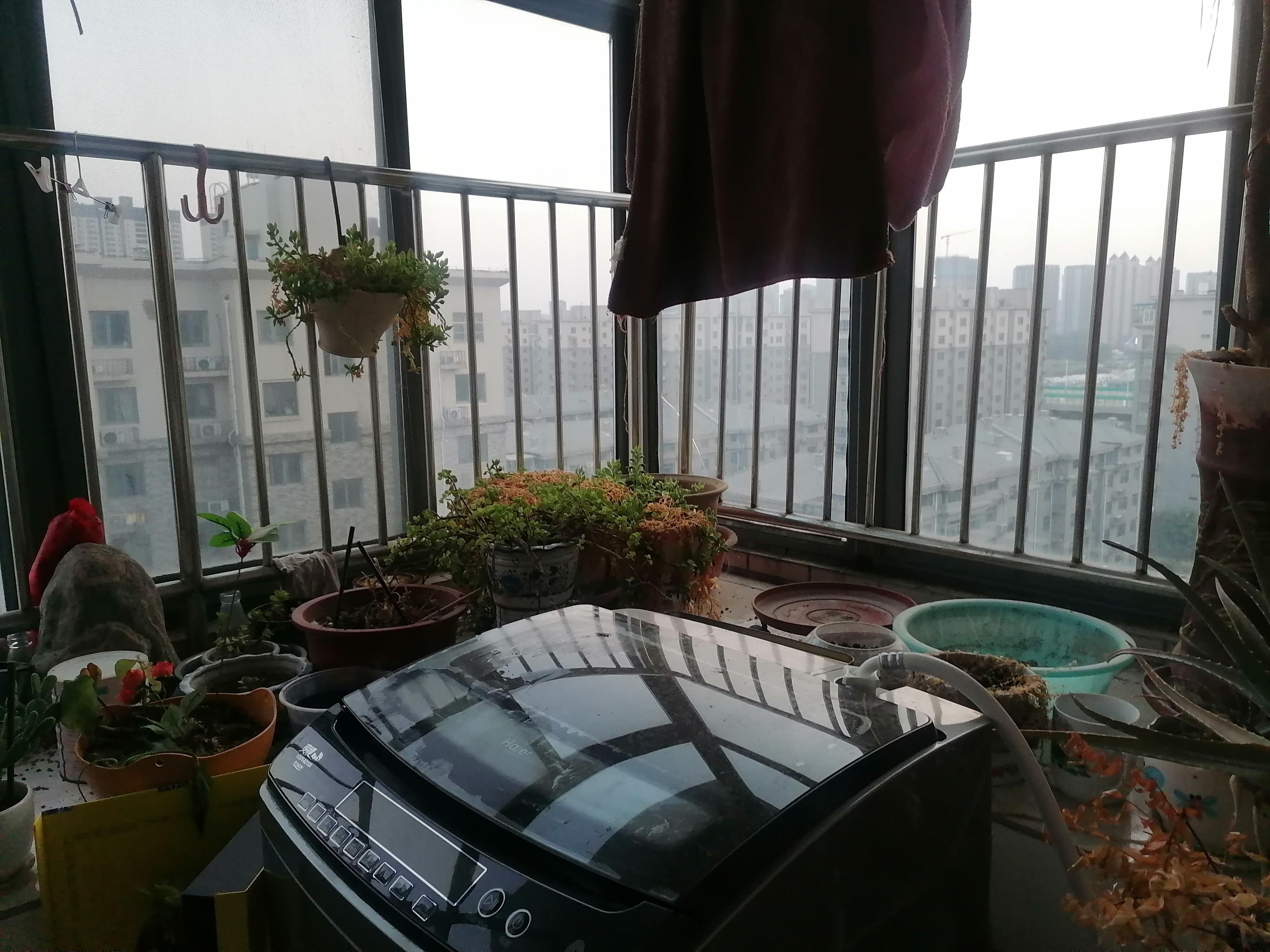 泉城花园