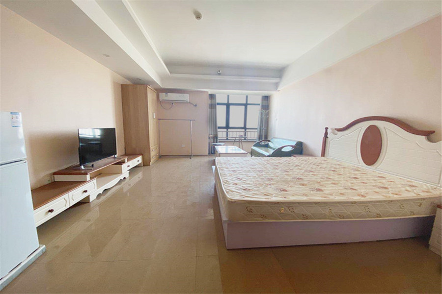 南益名泉春晓公寓 1室1厅 南北