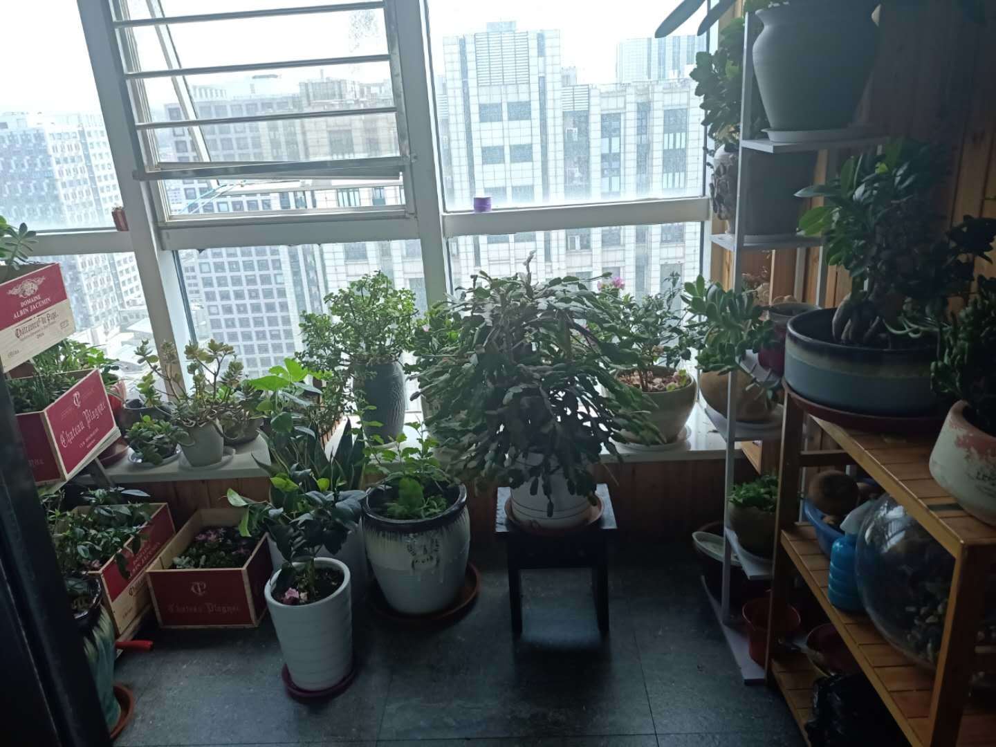 万达帝景苑