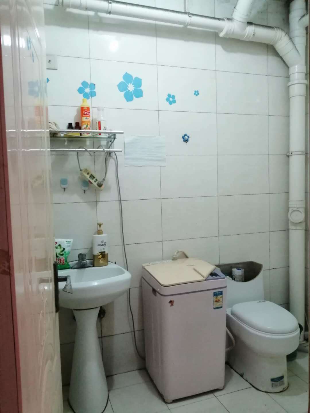 鲁商常春藤