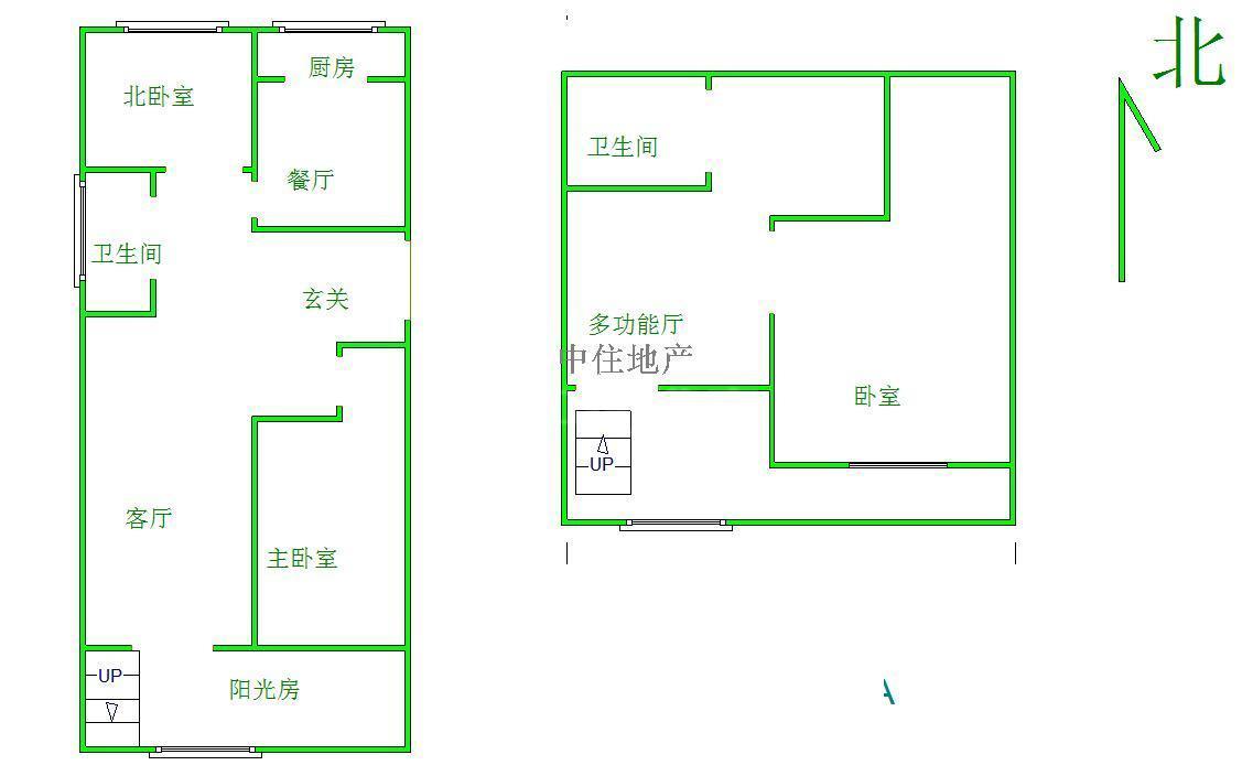天泰太阳树