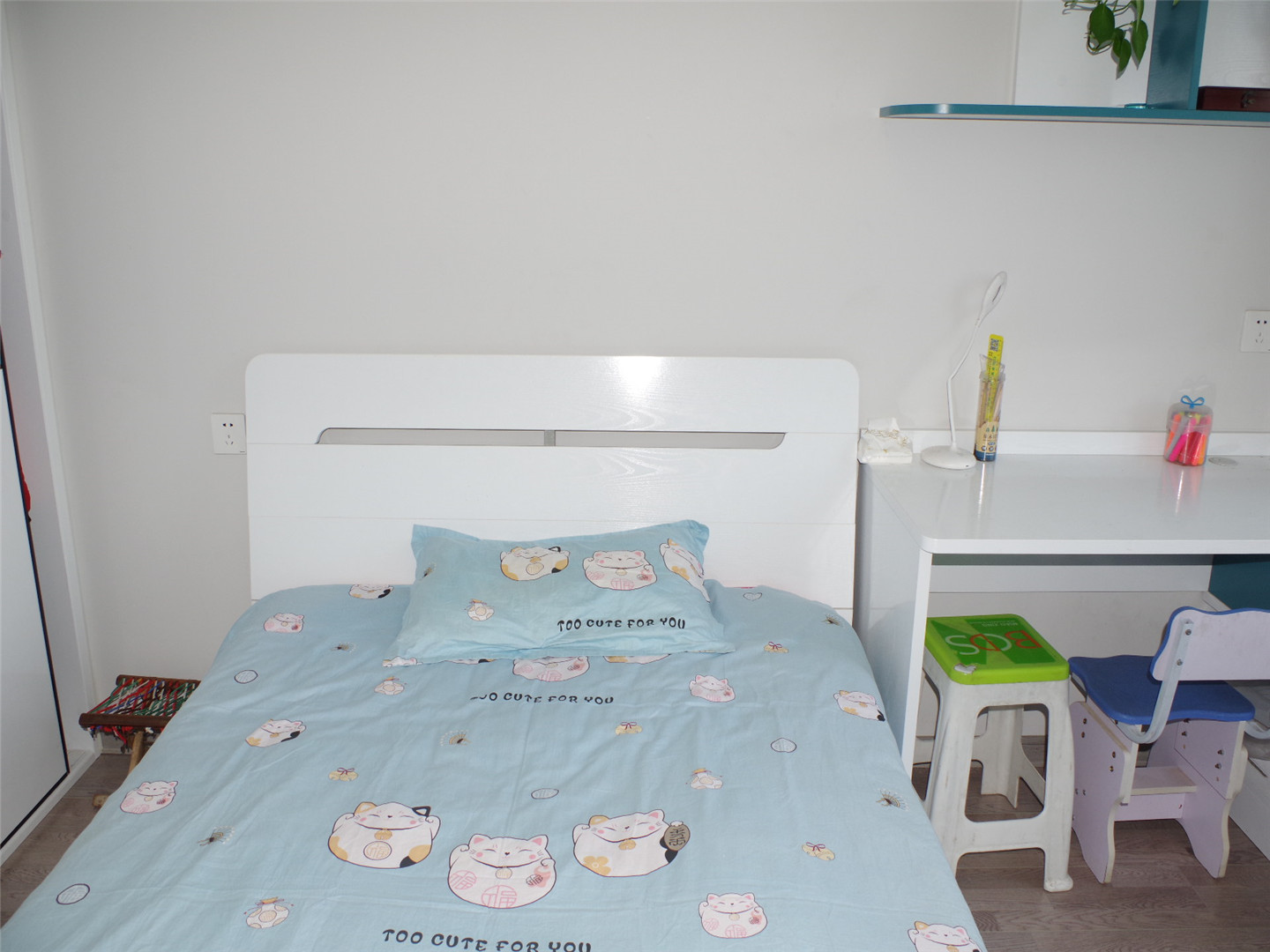 凤凰国际城南区