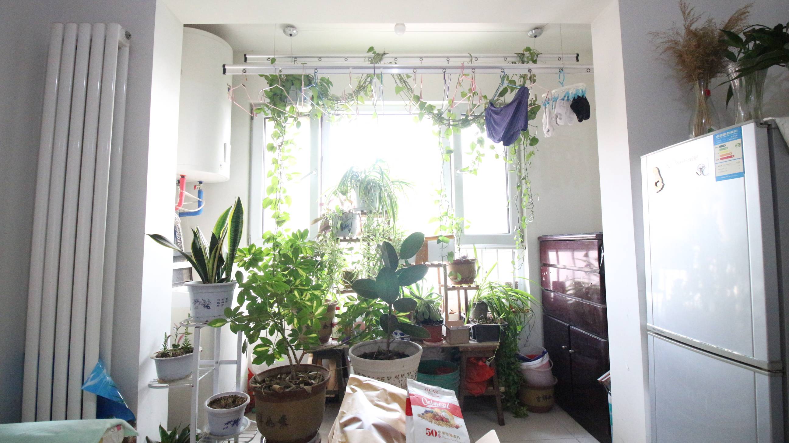 天鸿万象新天万卷府