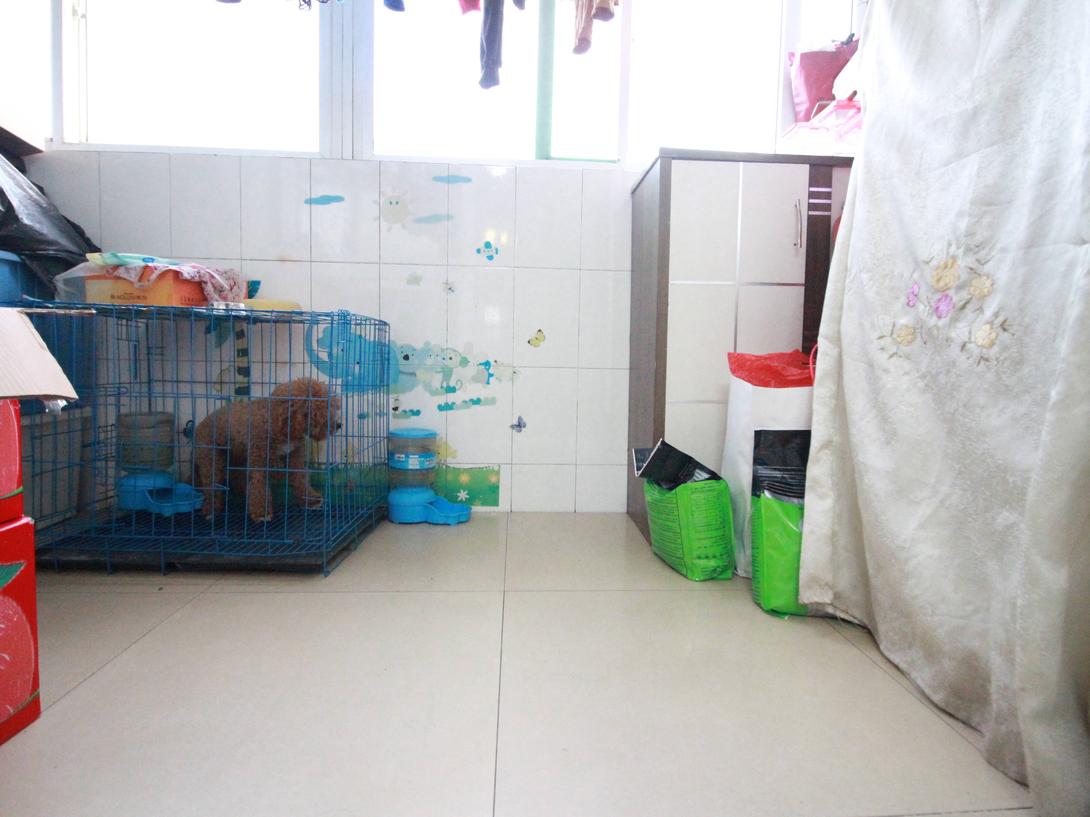 天建天和园冬园