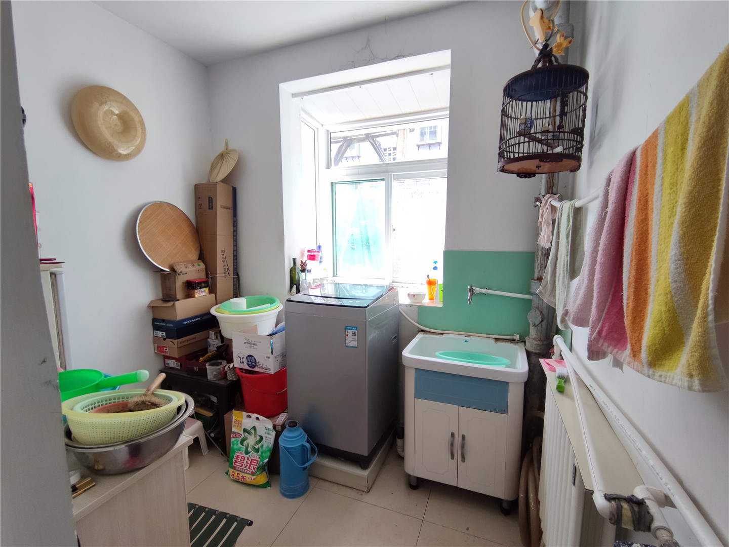 北小辛庄东街141号