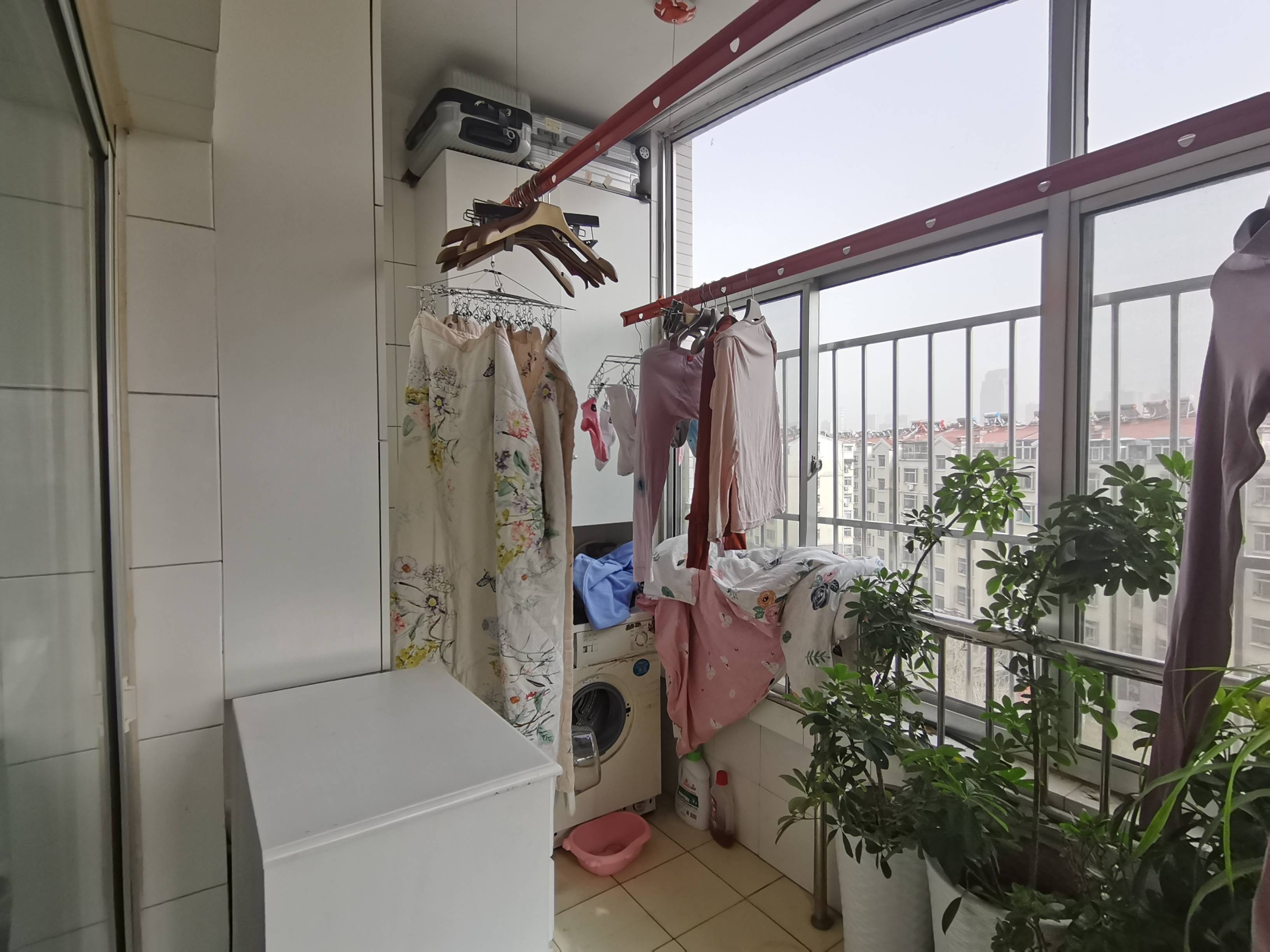 辛甸花园