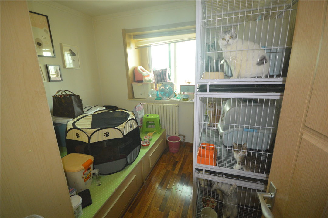 伟东新都（二区）金都