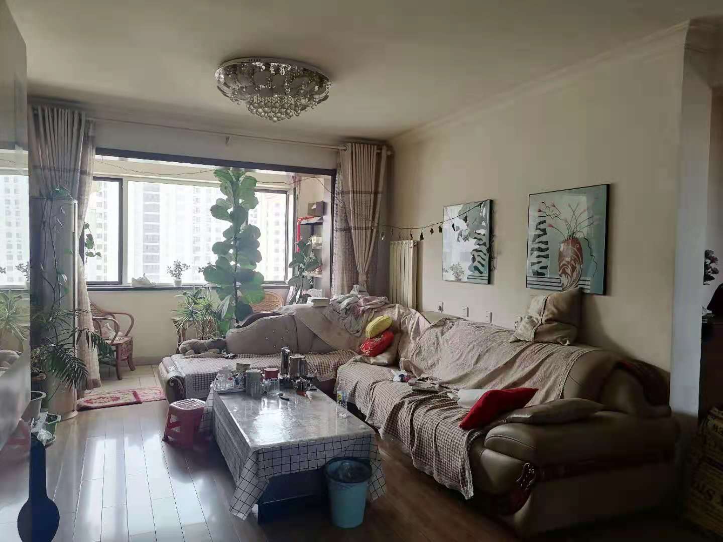  碧桂园凤凰城(西区)  南北