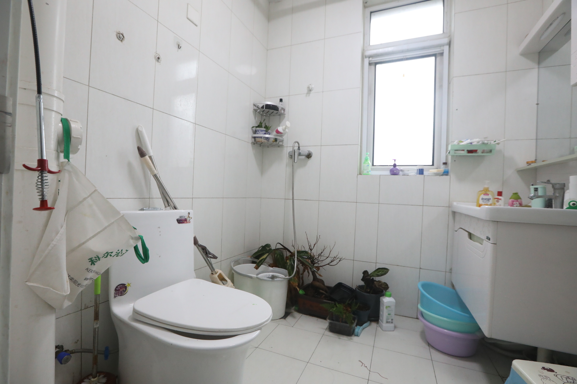 尚东1956（ 尚东花园）