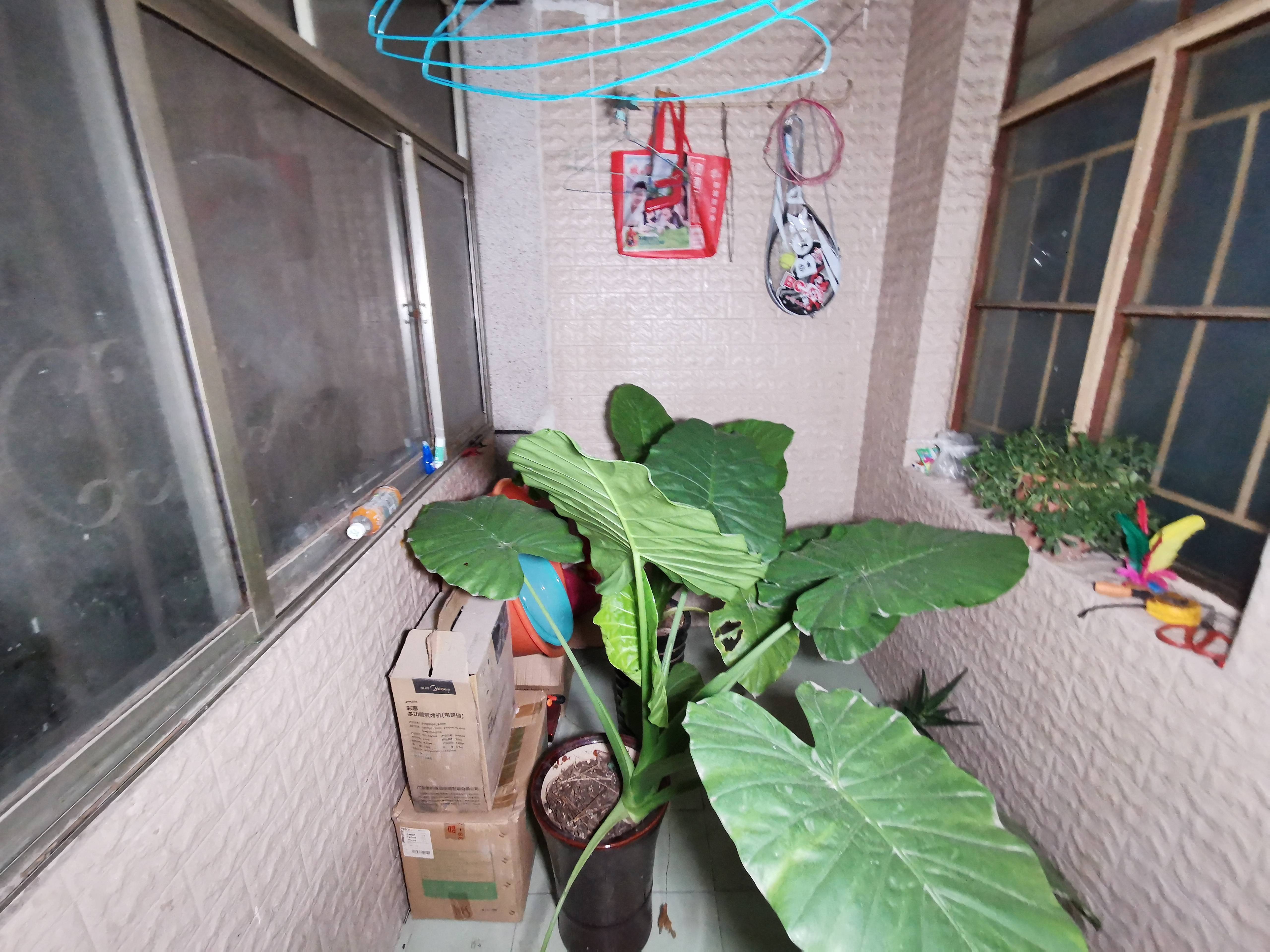 泺河小区