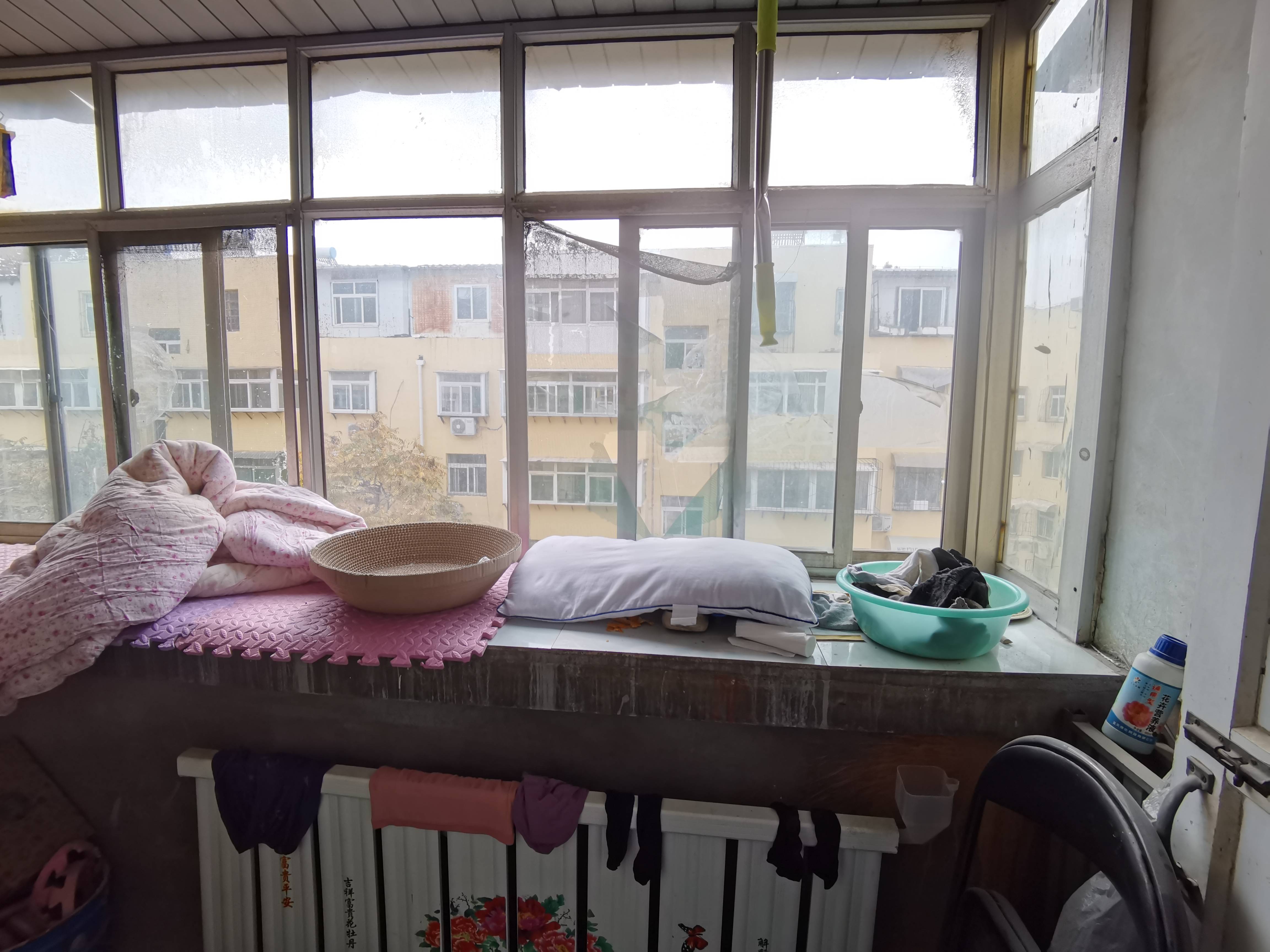 明星小区(槐荫)