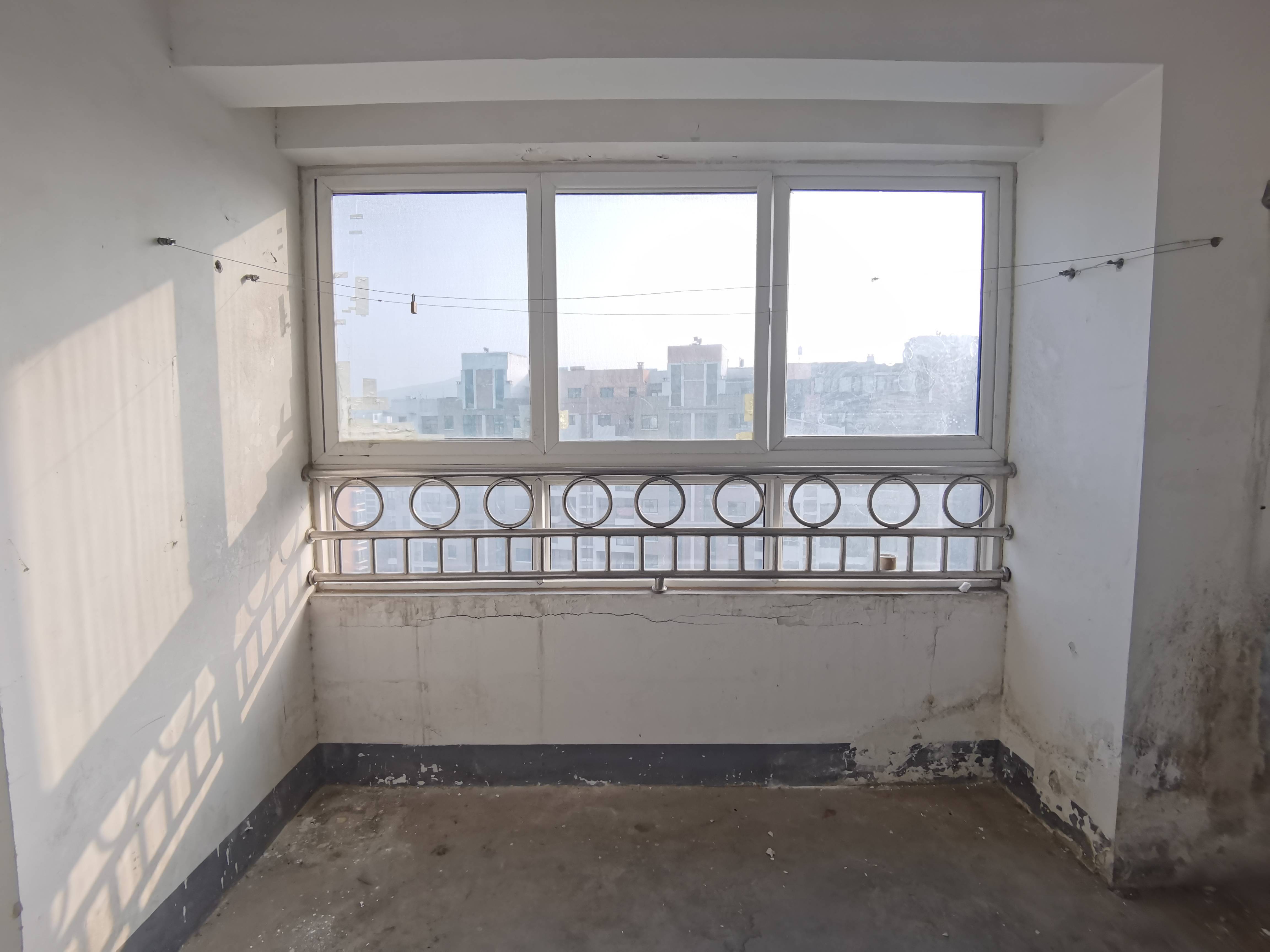 鲁商常春藤
