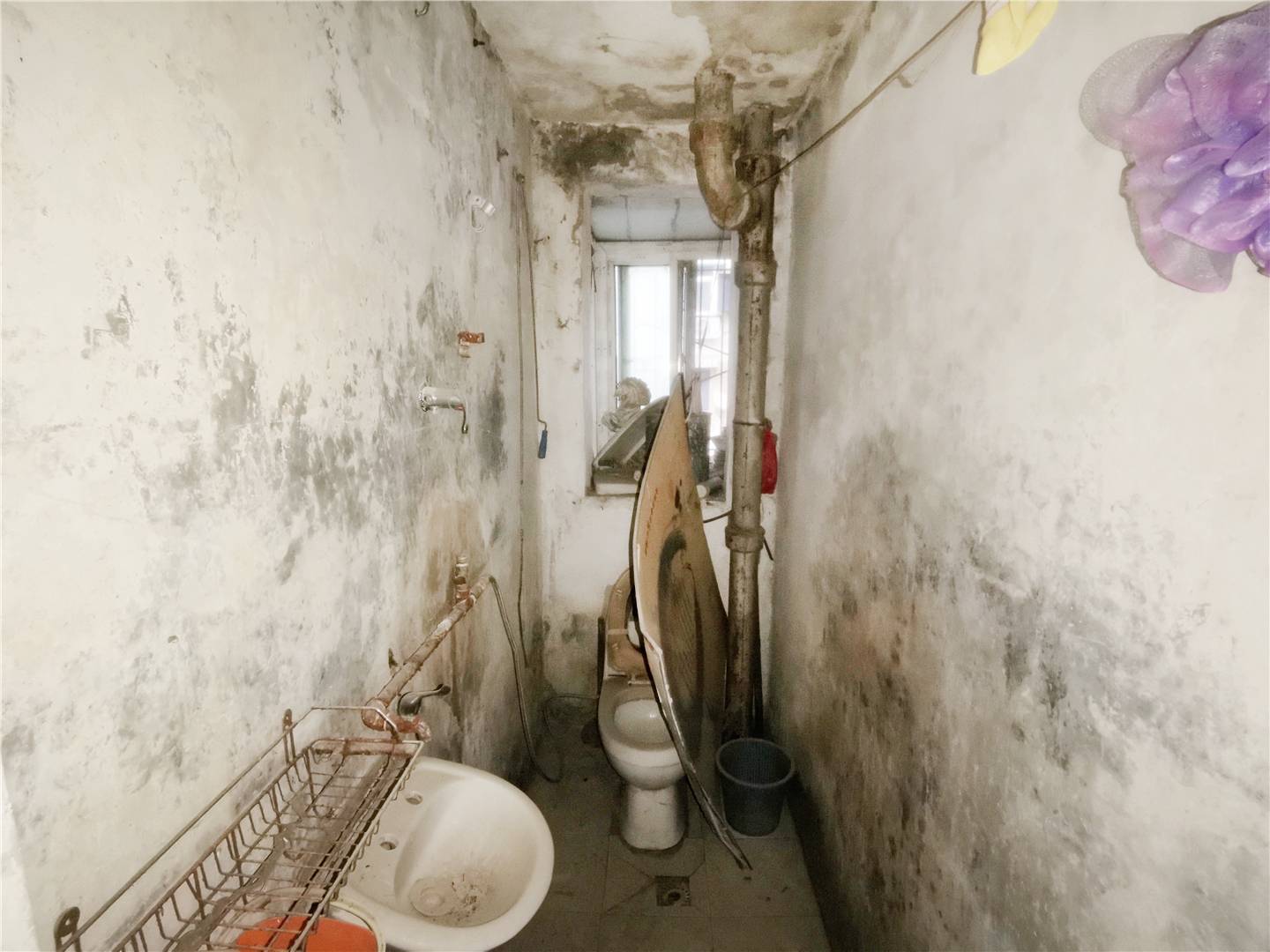 舜玉小区南区