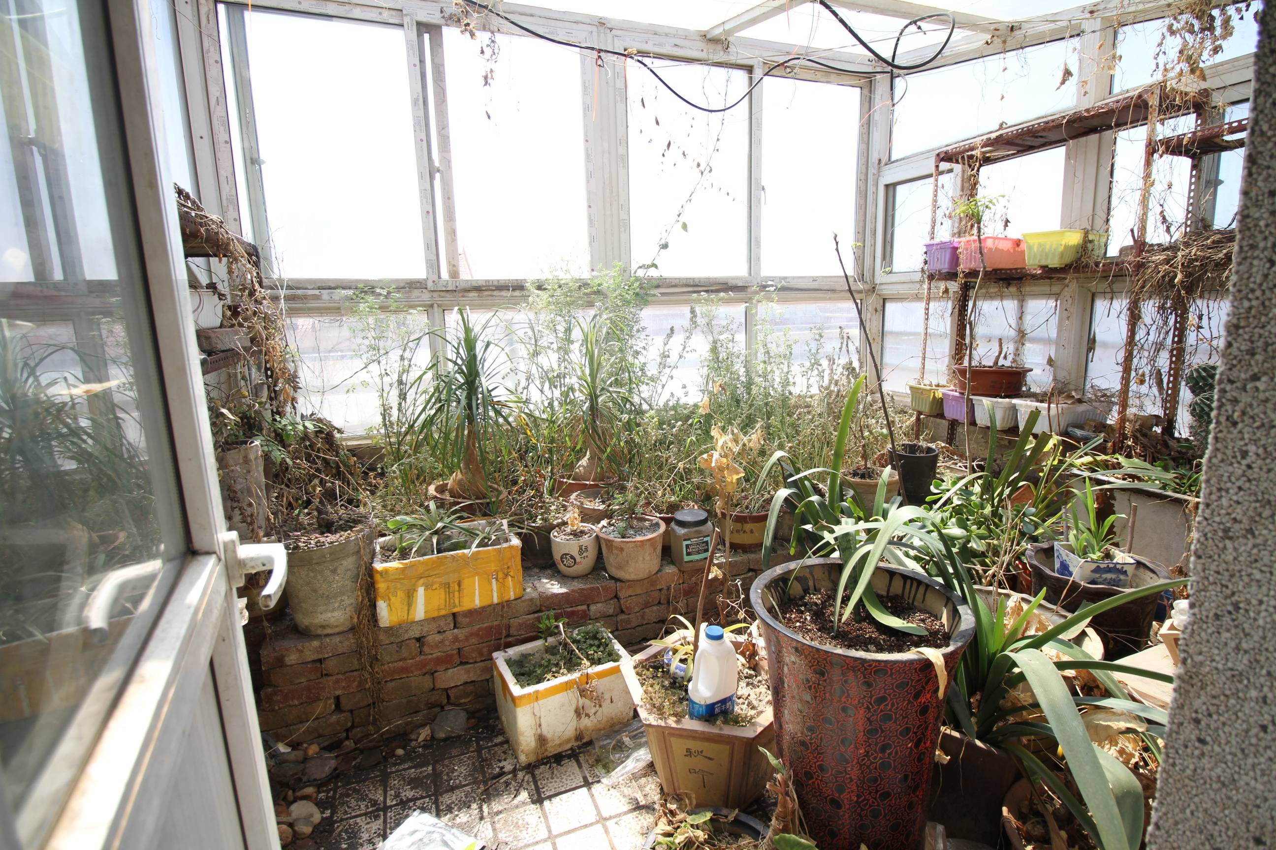 无影山中路交通学院宿舍