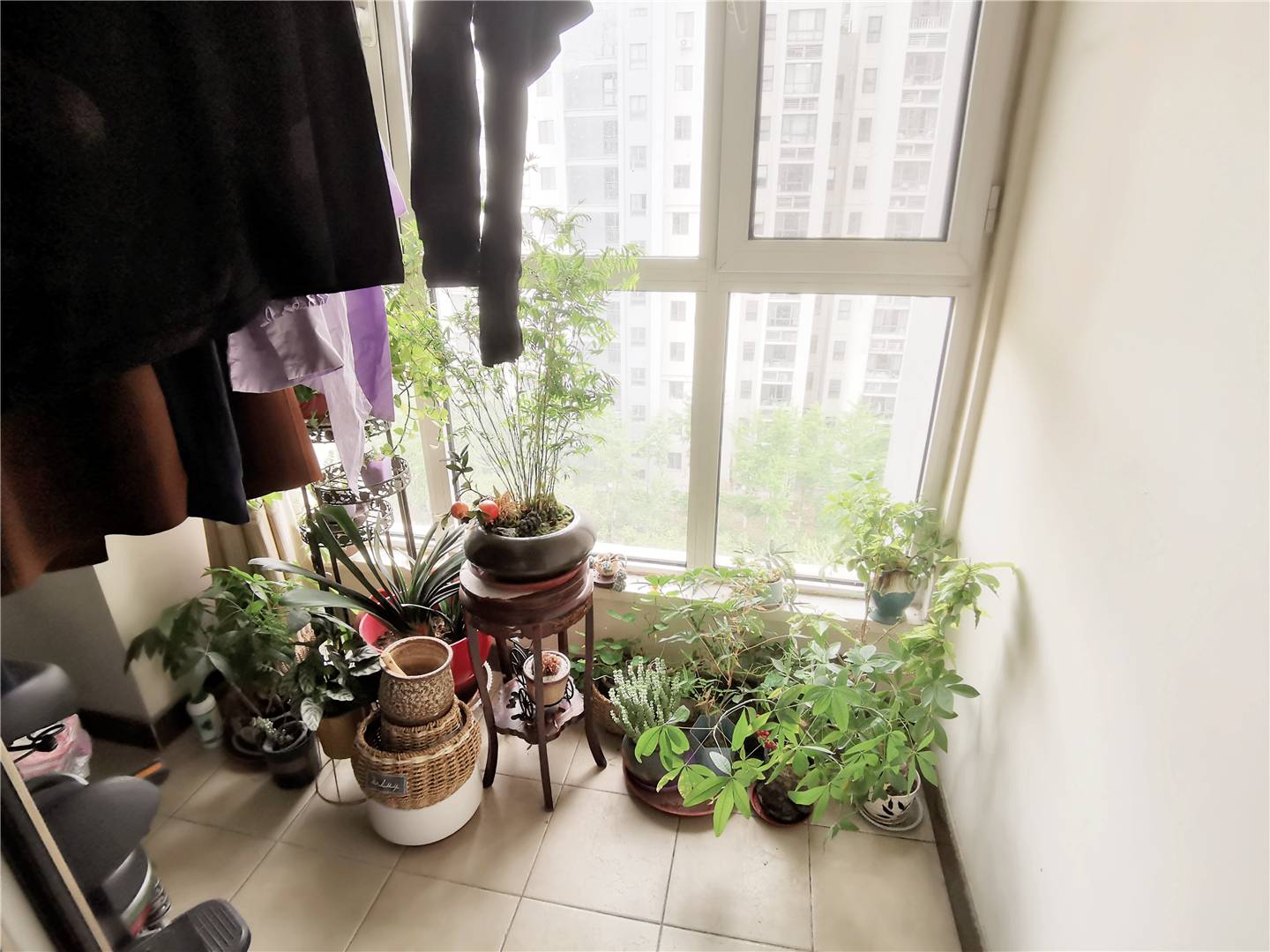 鲁能领秀城中央公园（十七、十八区）