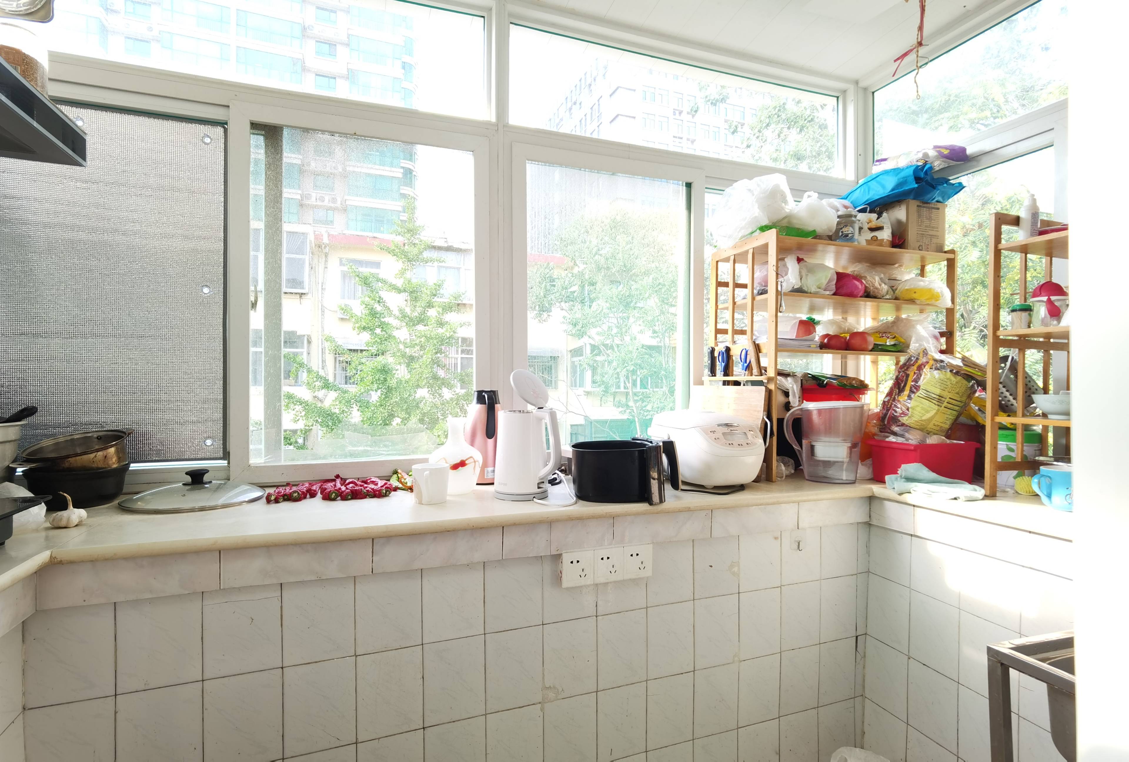 花园路182号（东关办事处）