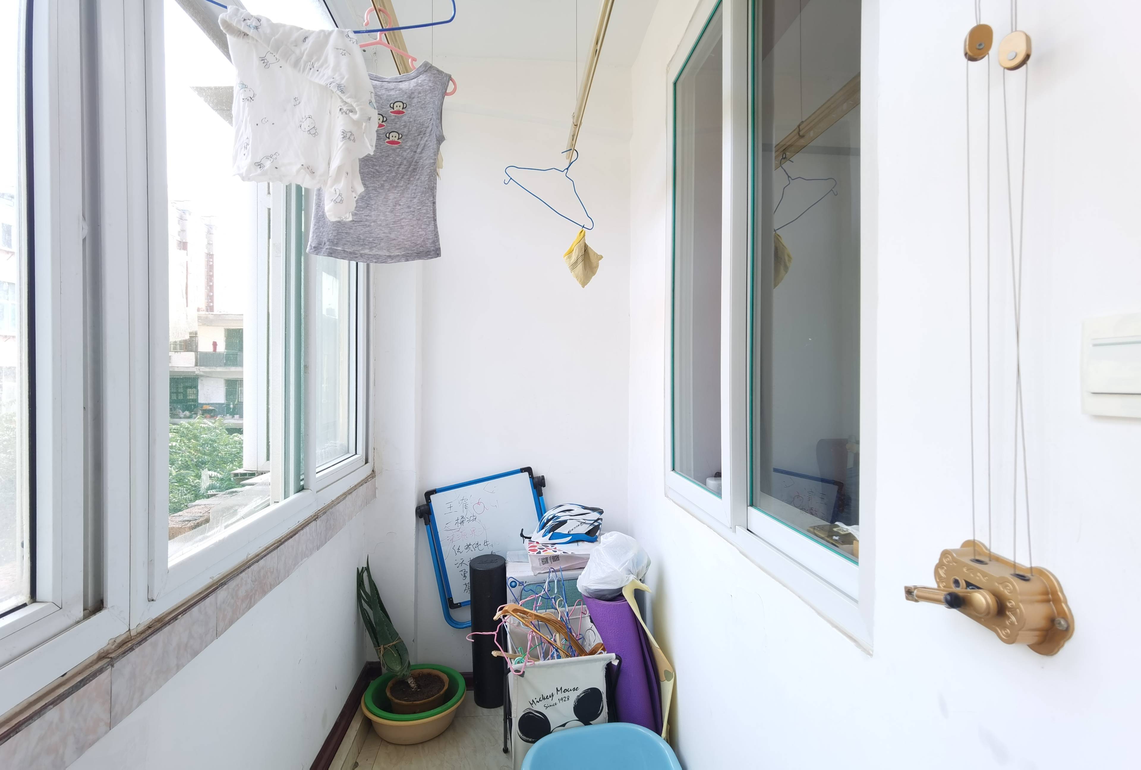 花园路182号（东关办事处）