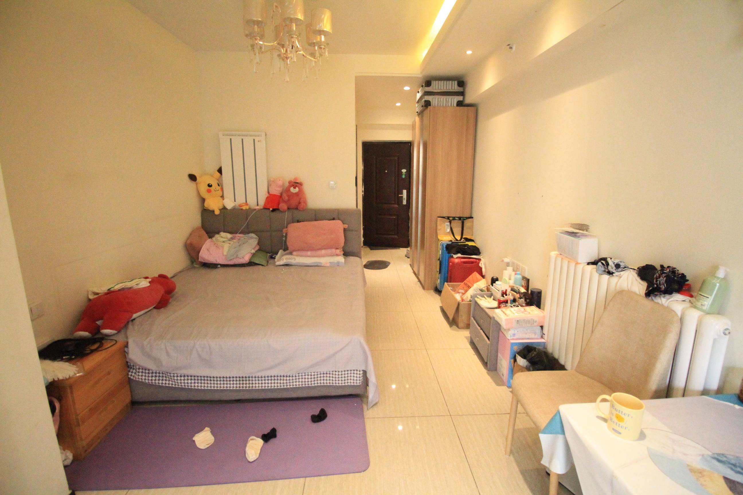 恒大滨河左岸公寓(临湖公馆花园)