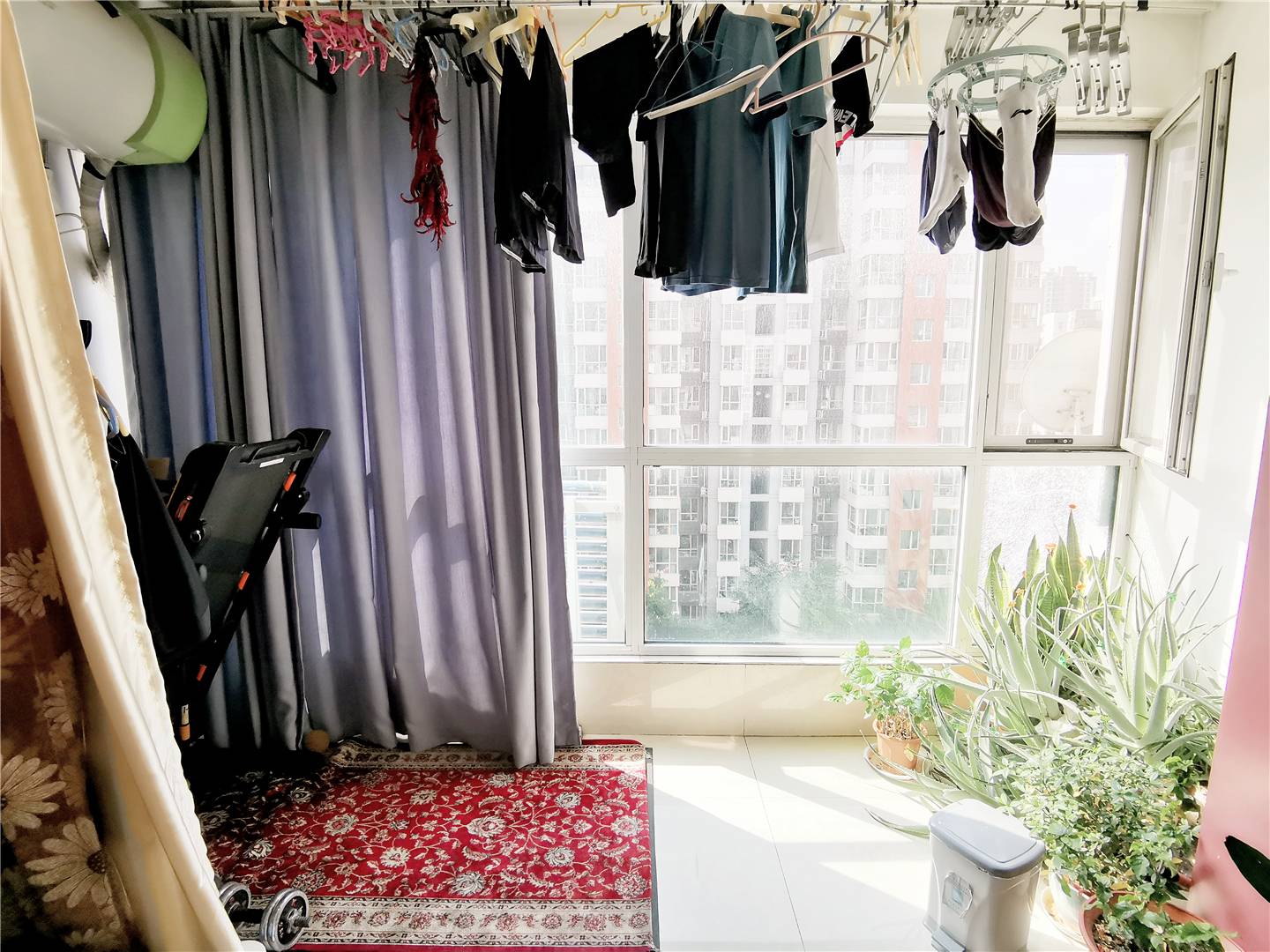 鲁能领秀城B区（十一区）