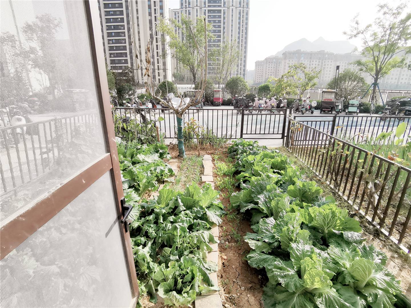 华润置地公元九里