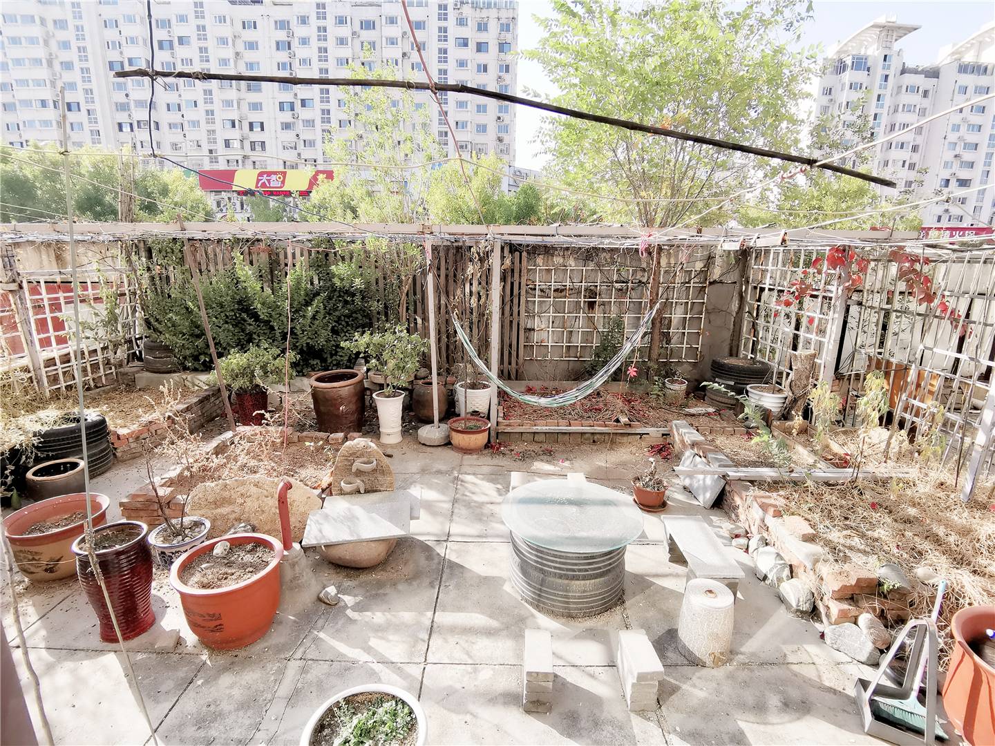 伟东新都（一区）贵都